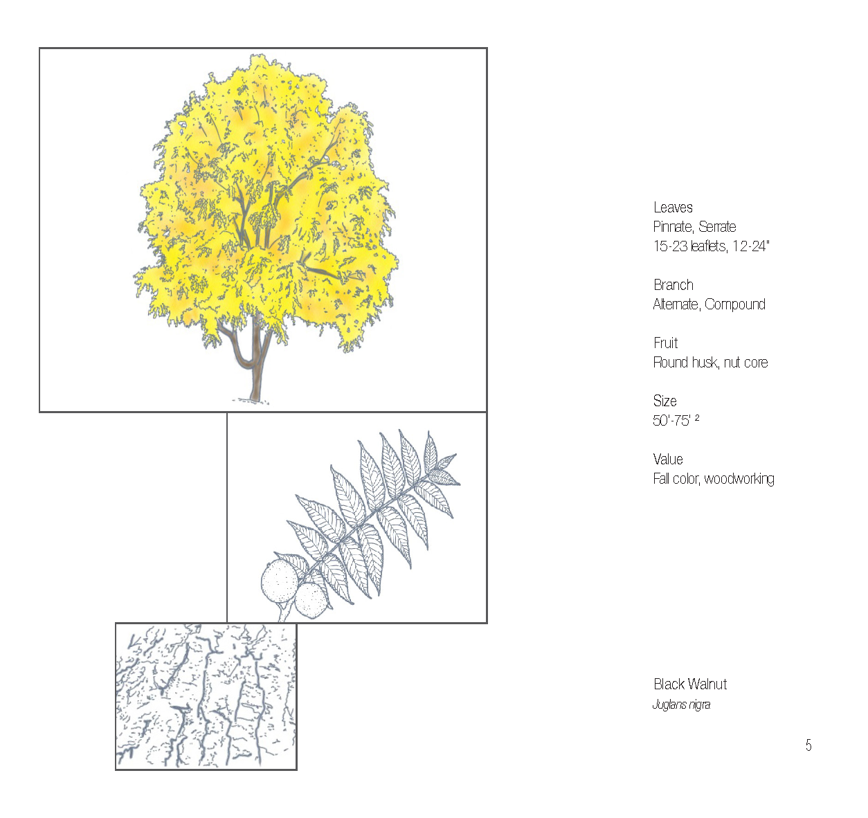 Plant Book_Page_07.png