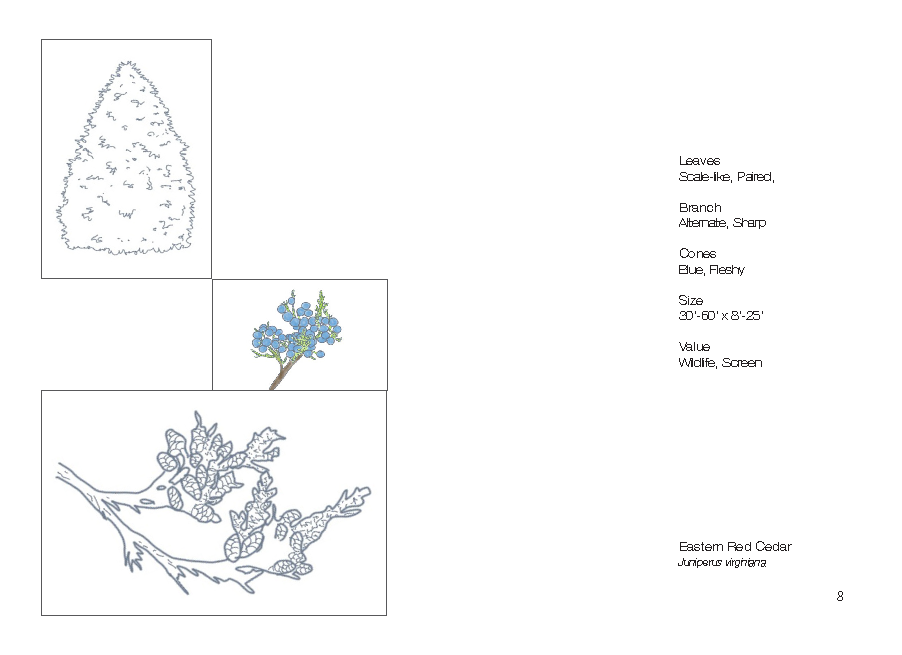 Plant Book_Page_10.png