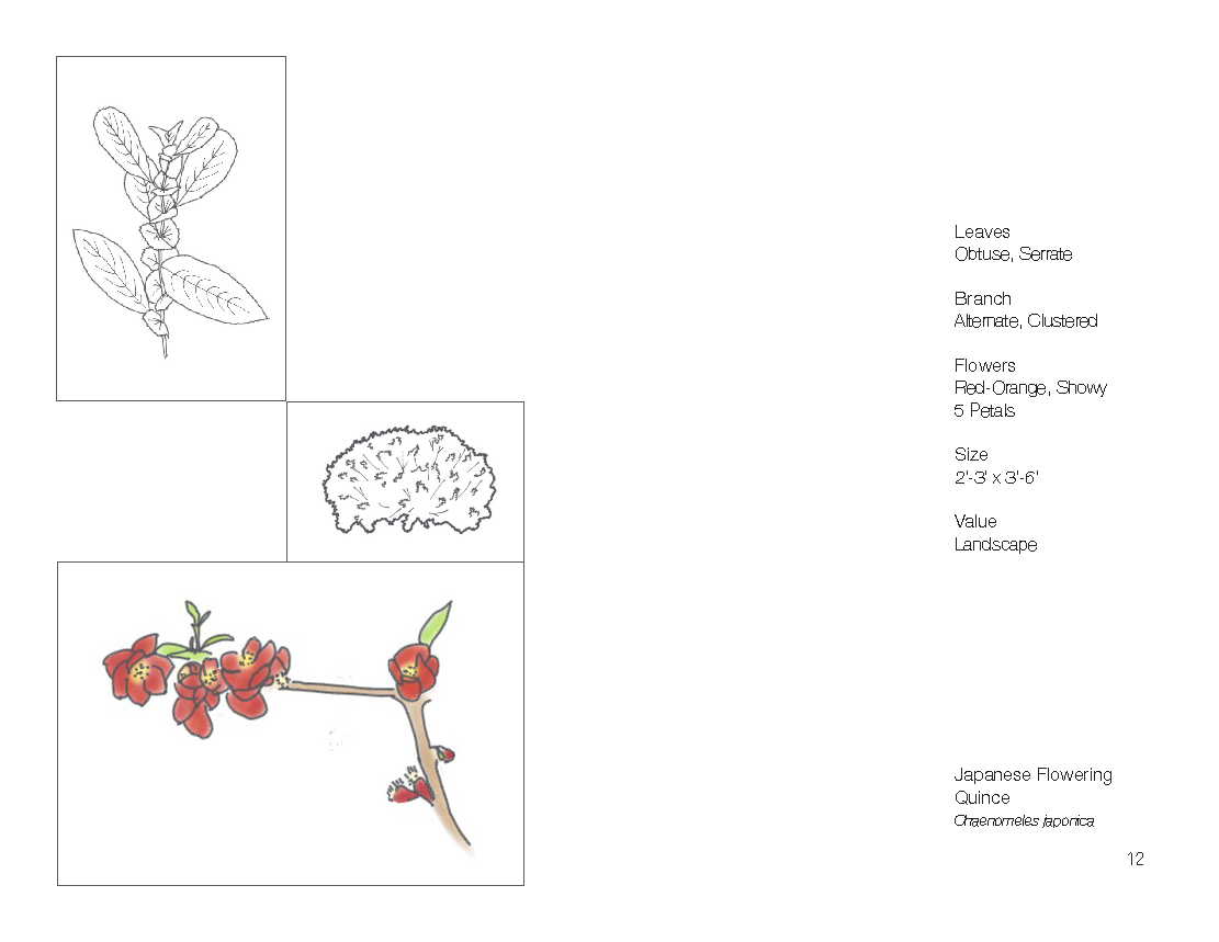 Plant Book_Page_14.png