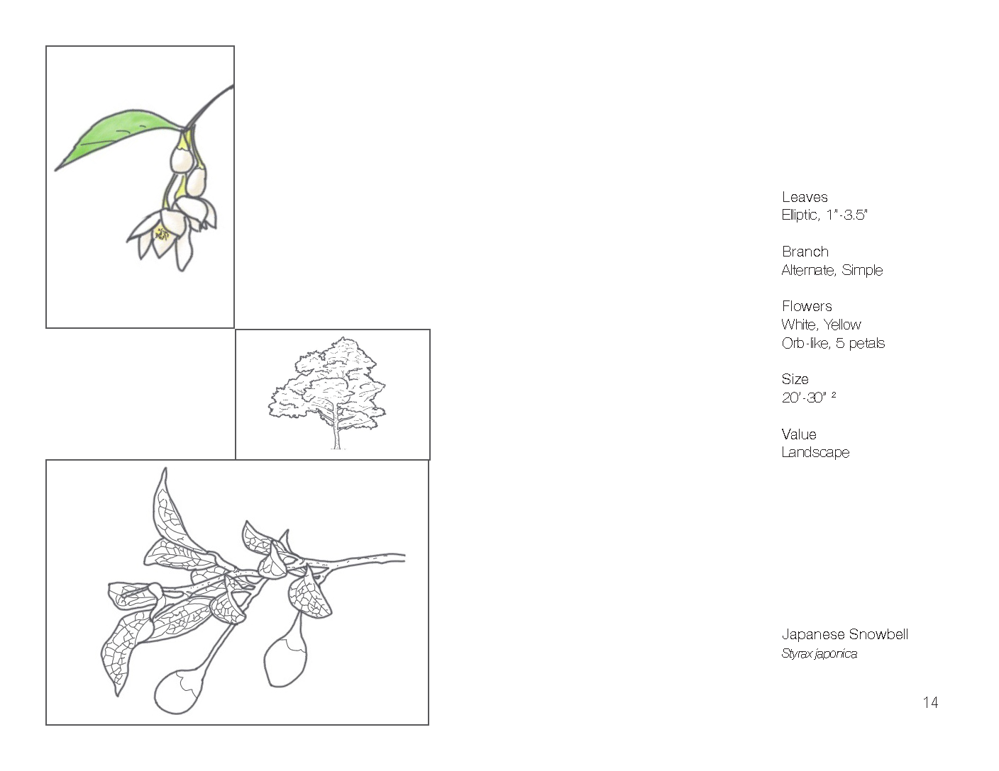 Plant Book_Page_16.png