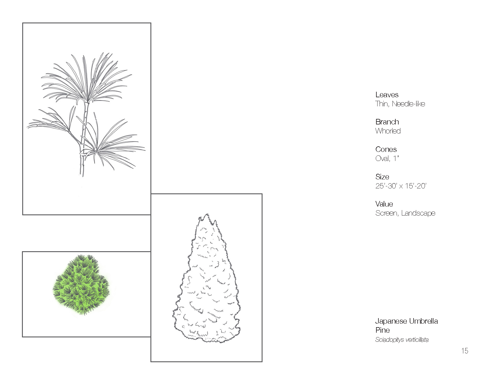 Plant Book_Page_17.png
