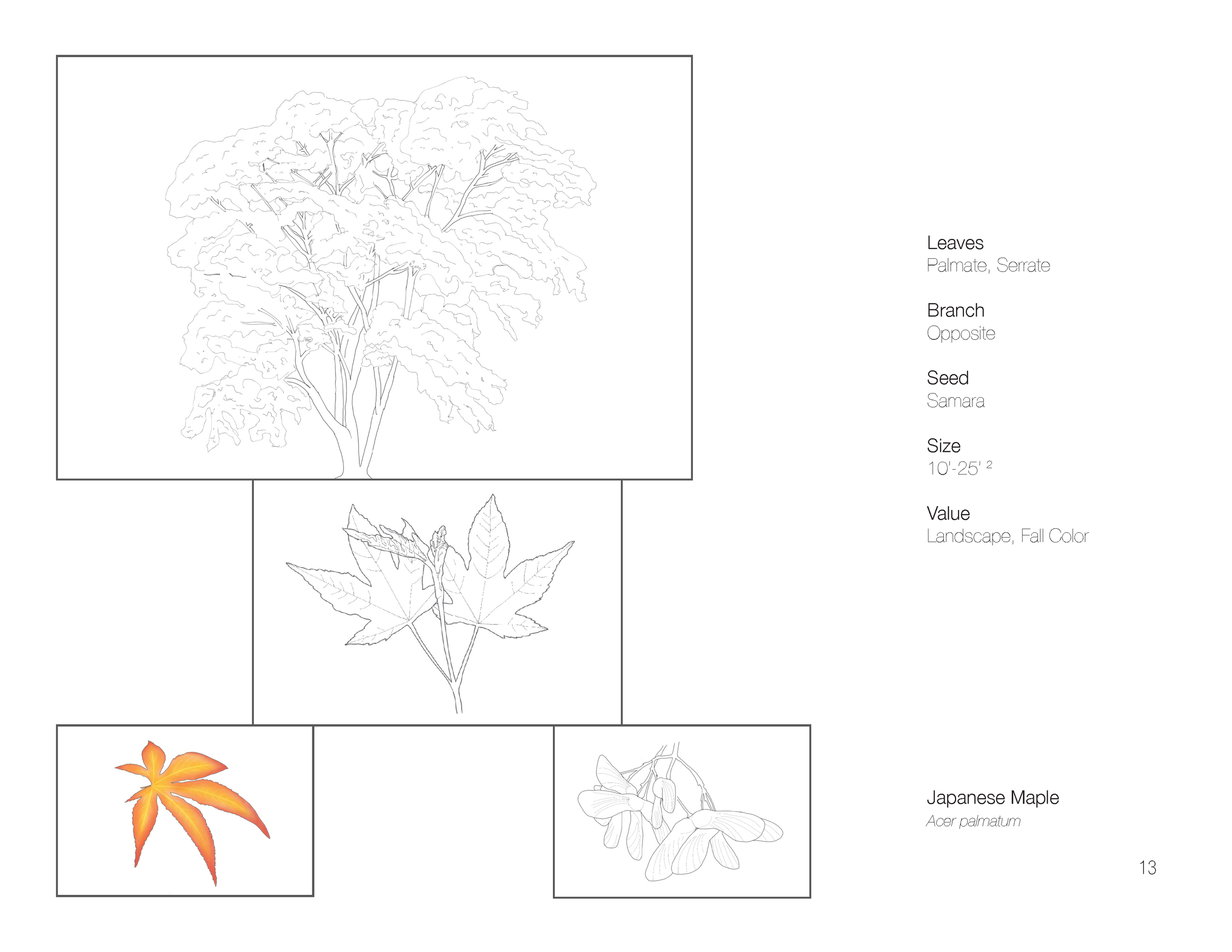 Plant Book_Page_15.png