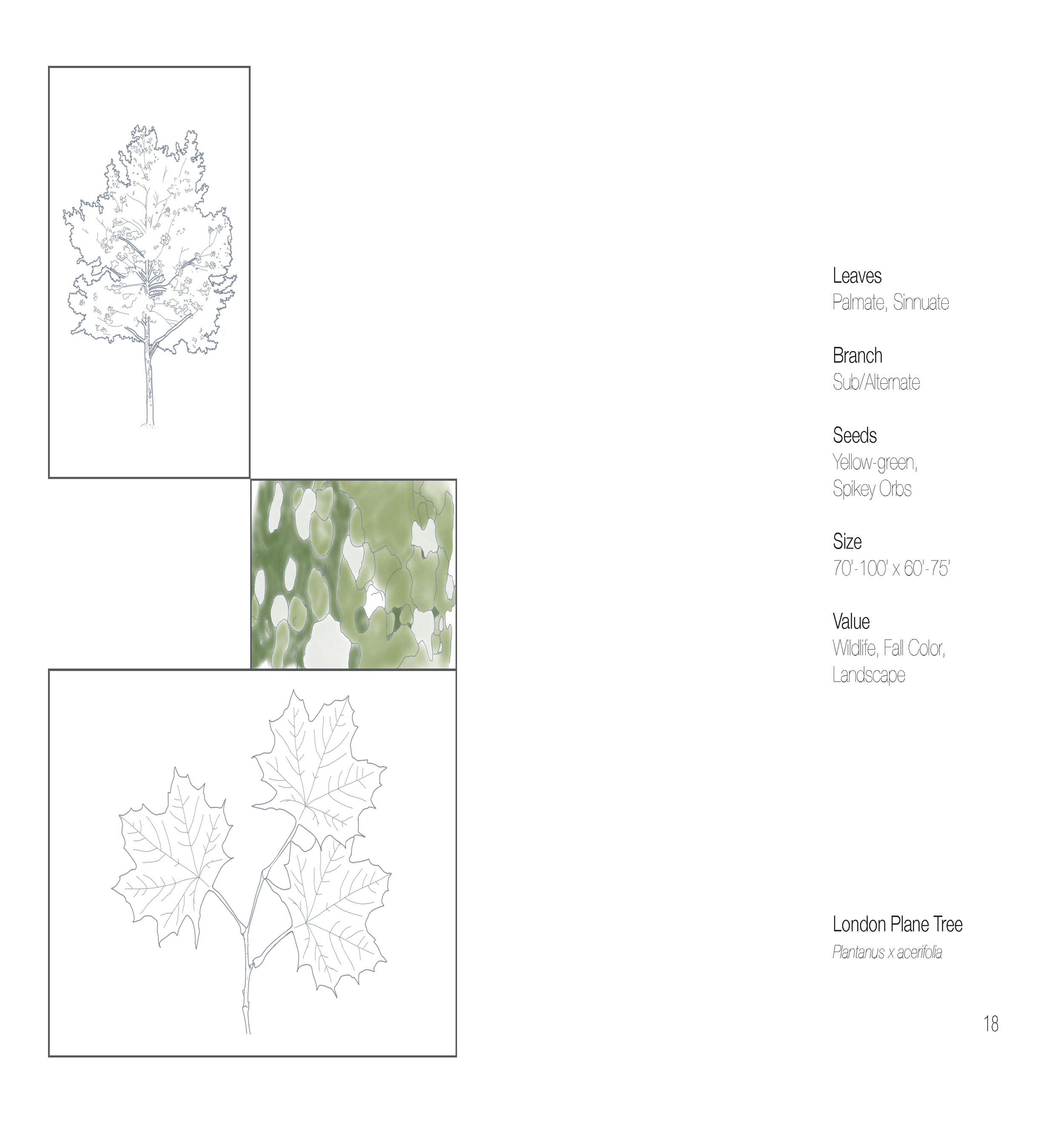 Plant Book_Page_20.png