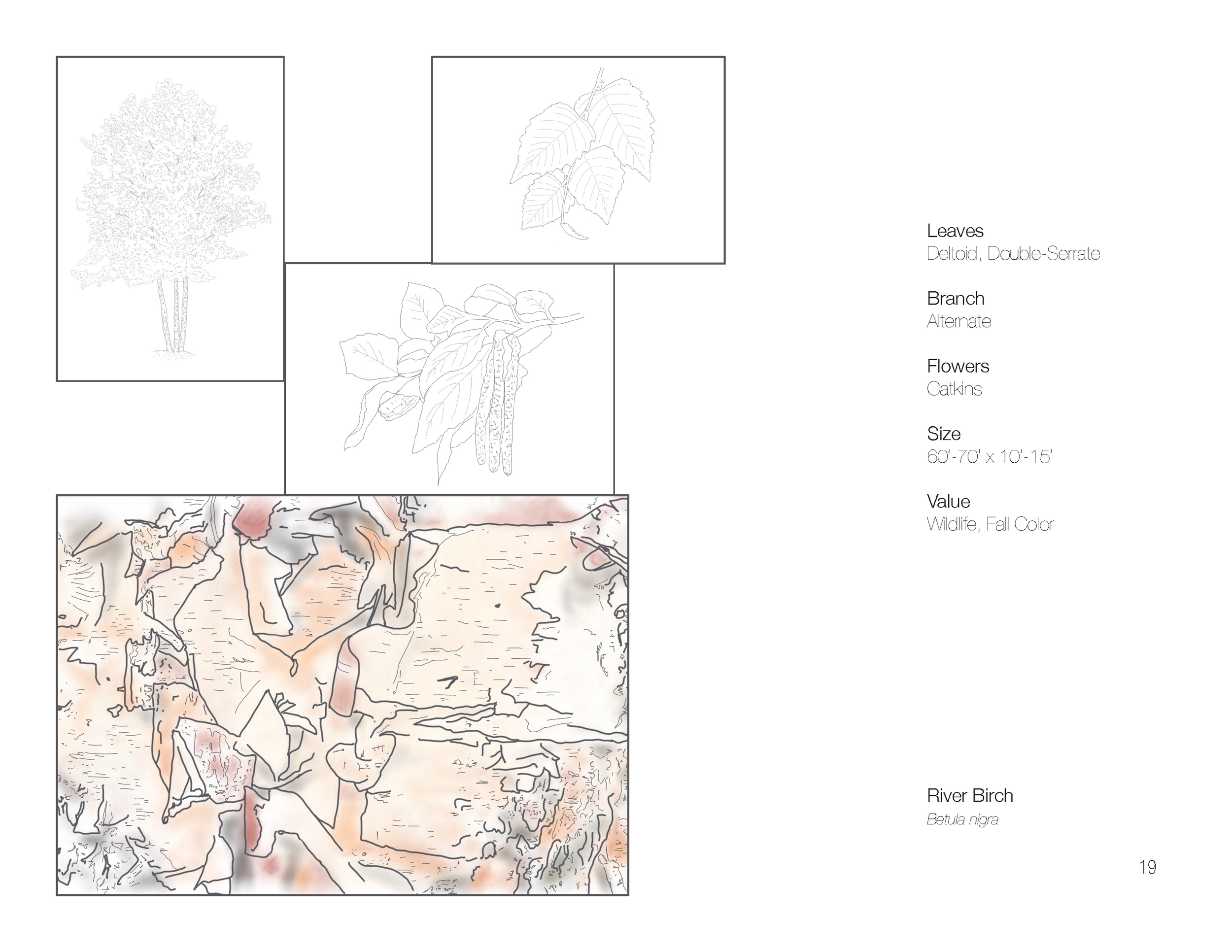 Plant Book_Page_21.png