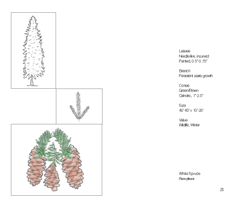 Plant Book_Page_30.png