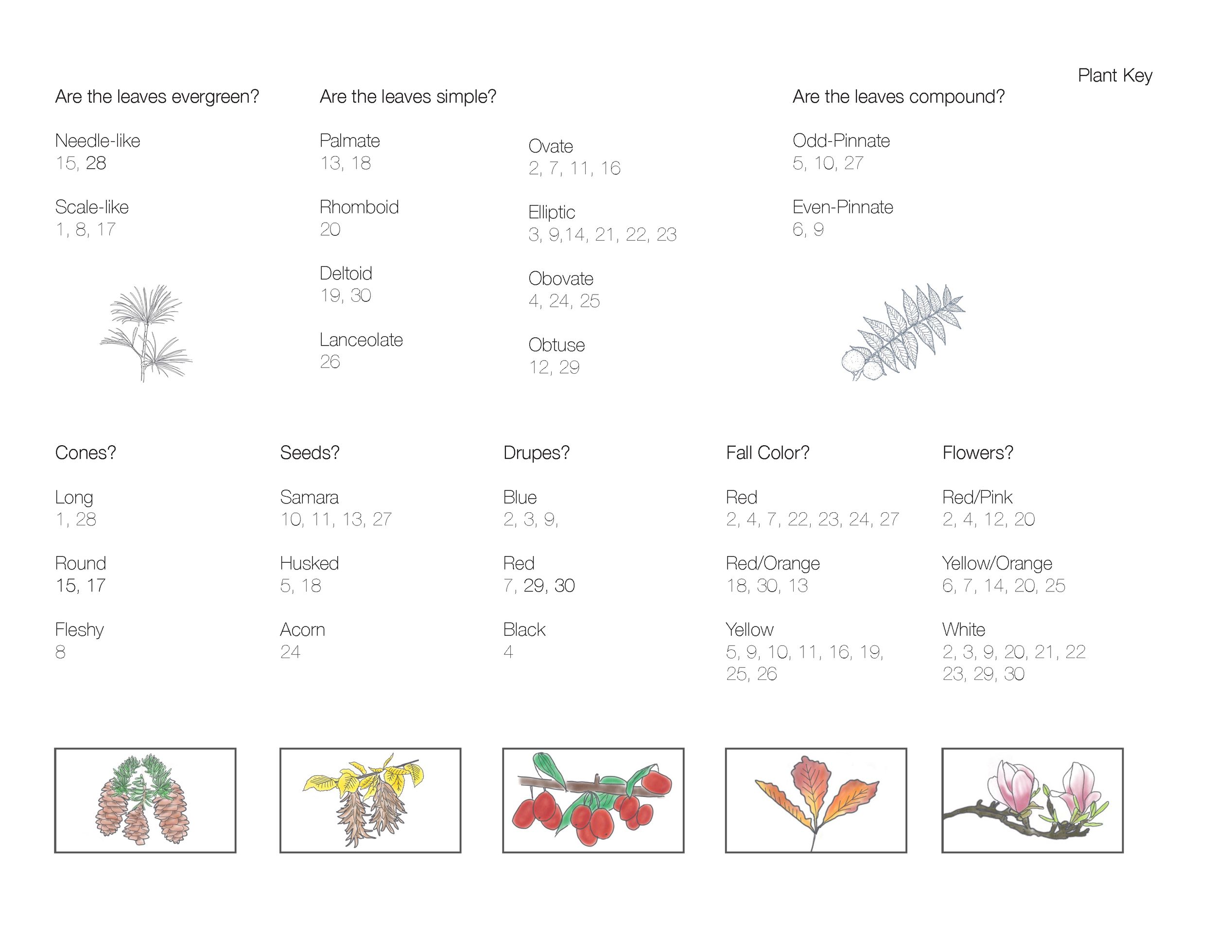 Plant Book_Page_02.png