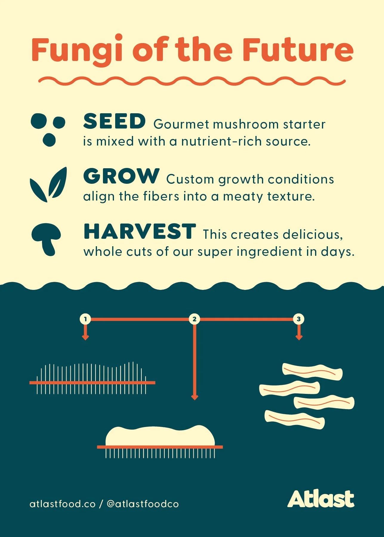 MyEats_Atlast_Postcards_Process back.JPEG