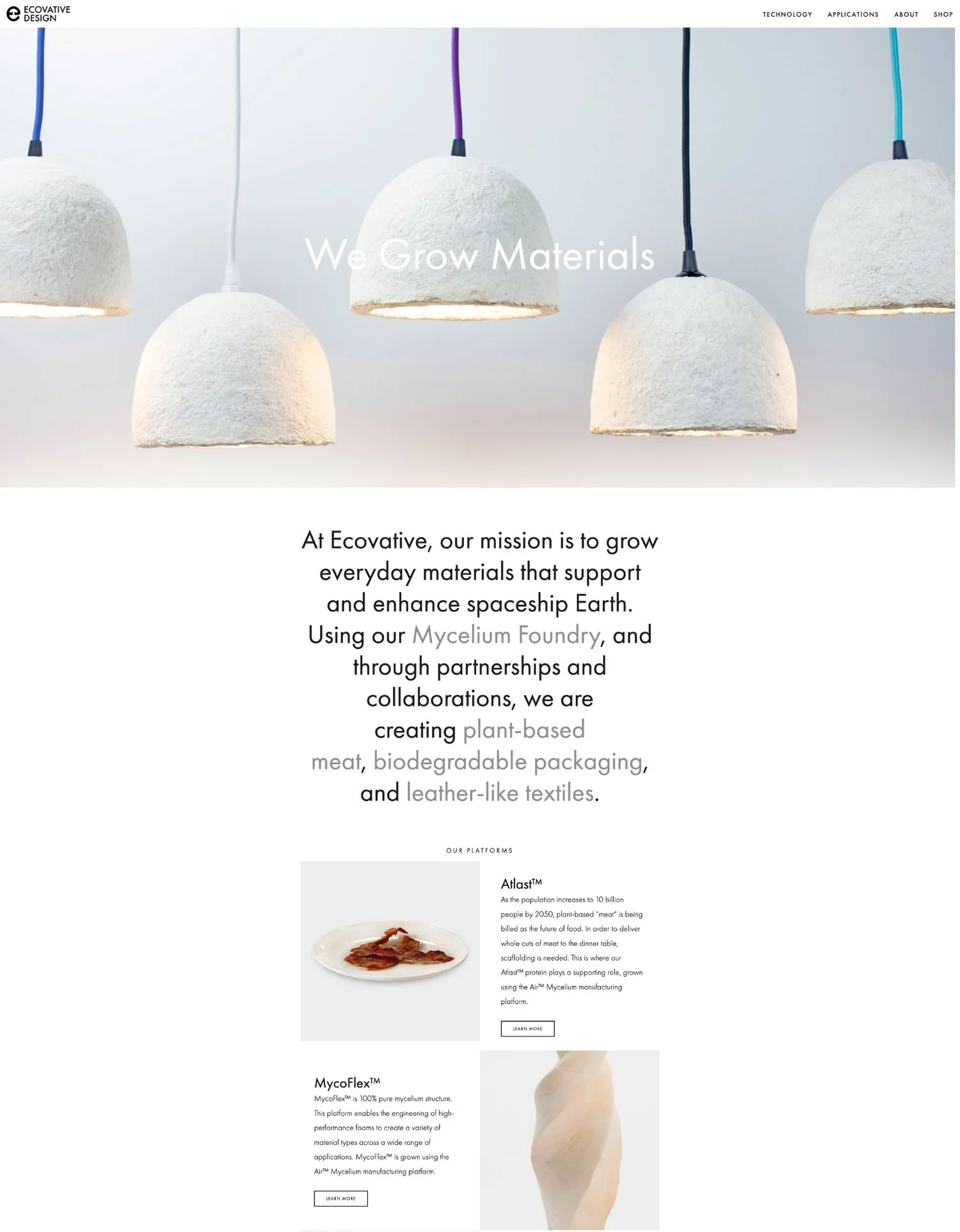 ecovative-2019-homepage.jpeg
