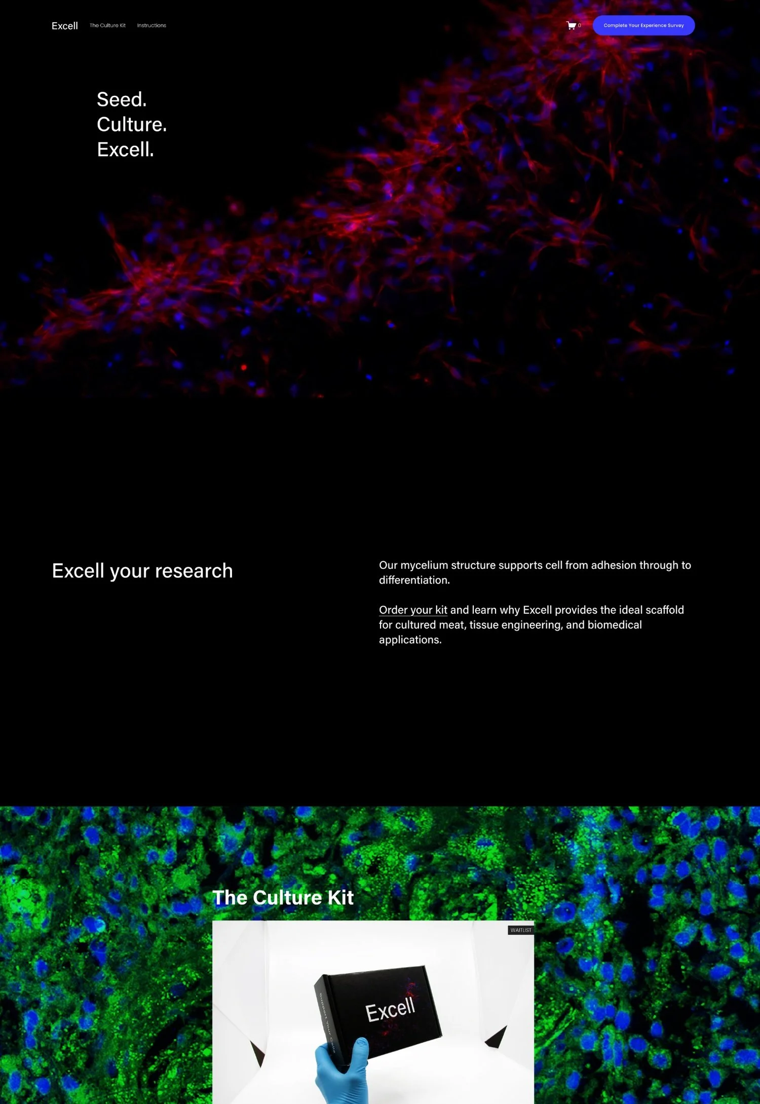 excell-2021-homepage.jpeg