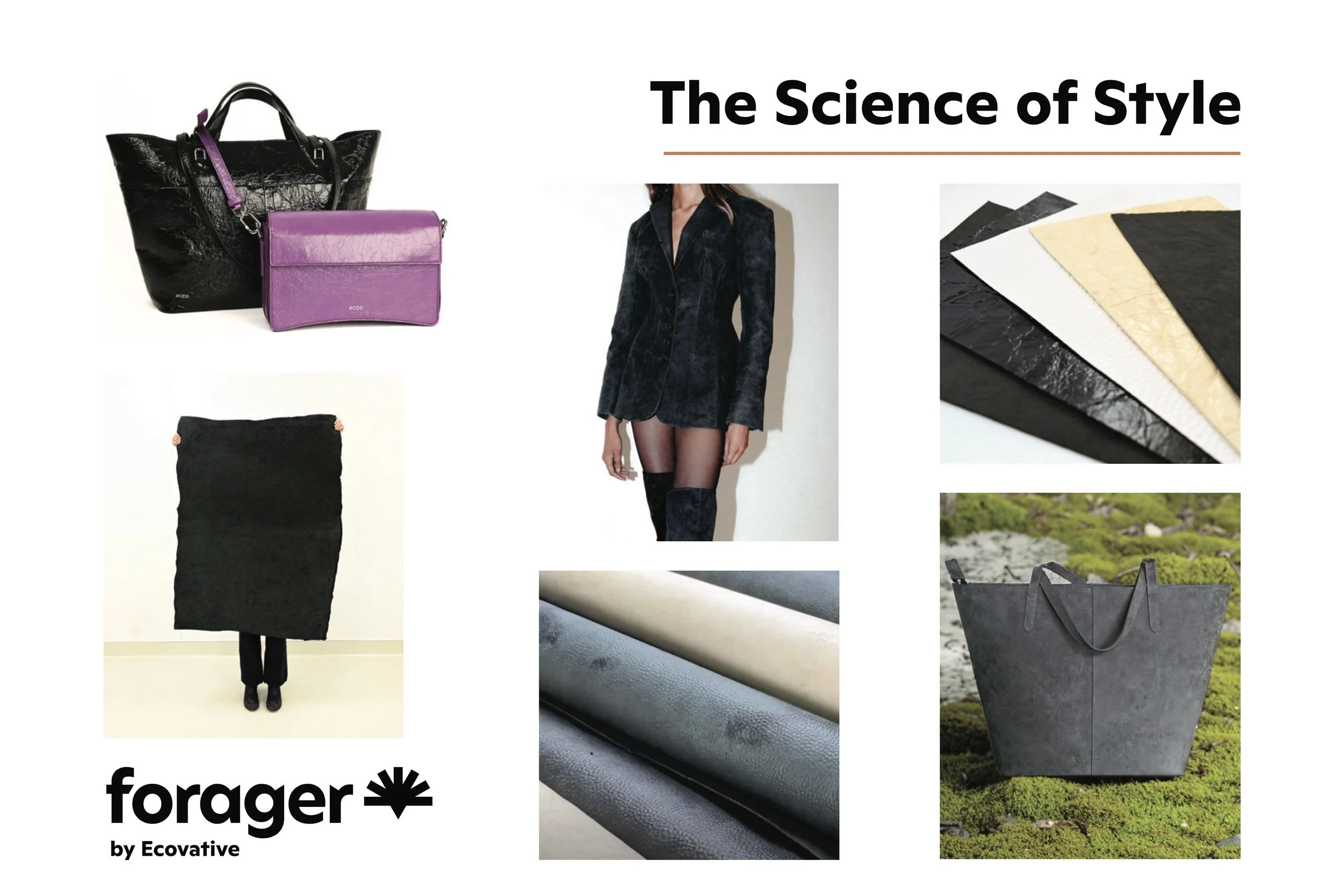forager-v2-front.jpeg