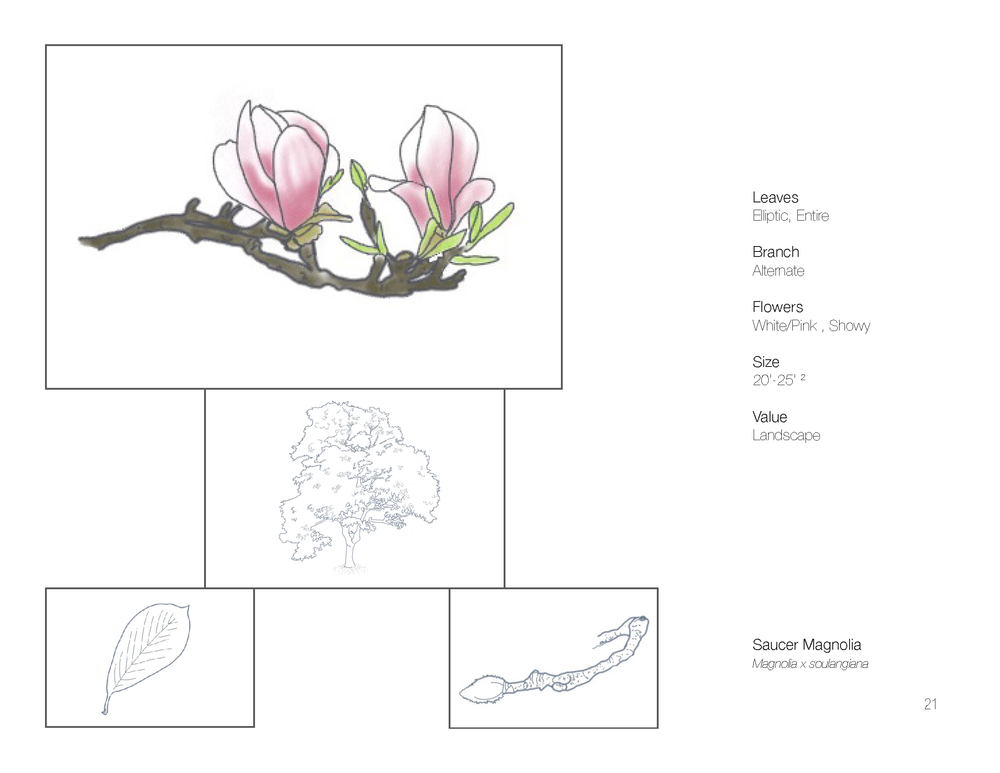 Plant+Book_Page_23.webp