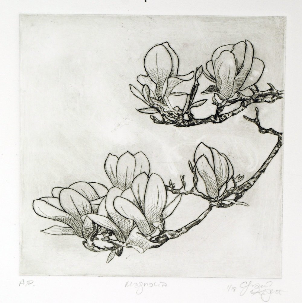 magnolia.jpg