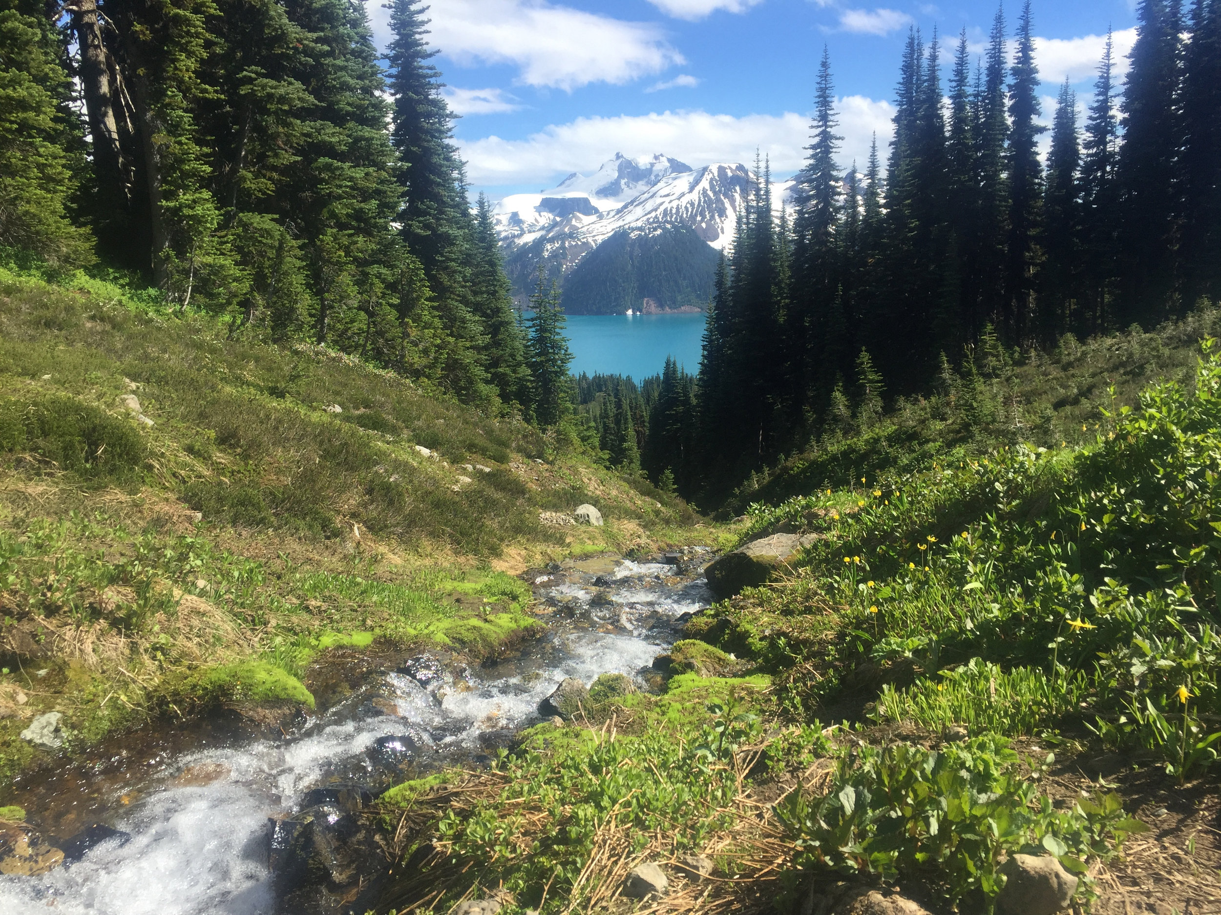 We drank fresh, cold water from the stream. At 11.5km into the hike on a hot day, it was very welcome. That's Garibaldi Lake in the background. 
