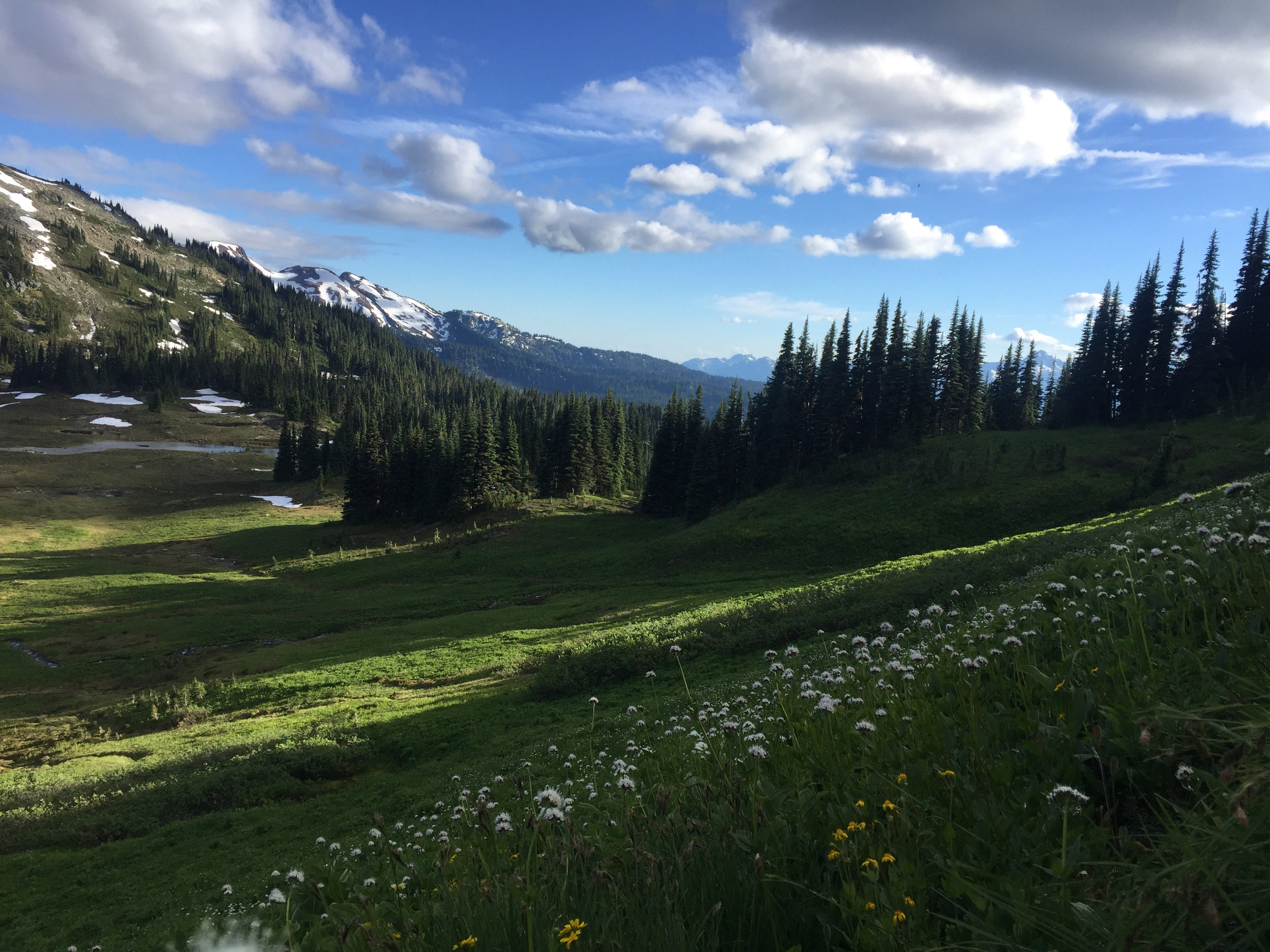 Beautiful mountain meadows on the way down. 