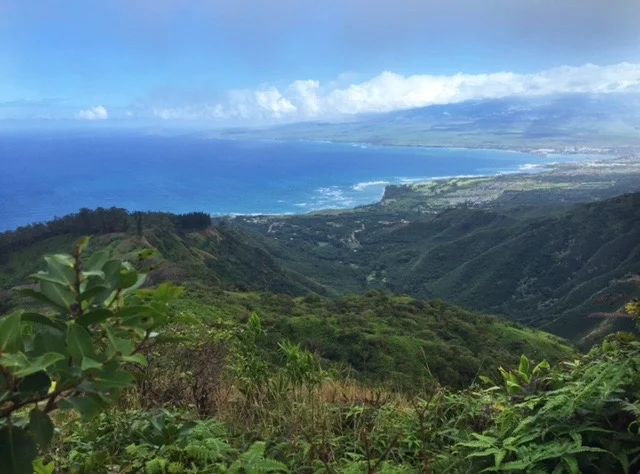View from the Wahiee Ridge Trail - the are on the coast to the right is Kahului (where the airport is) and further down the coast (in the distance in pic) is Paia. 