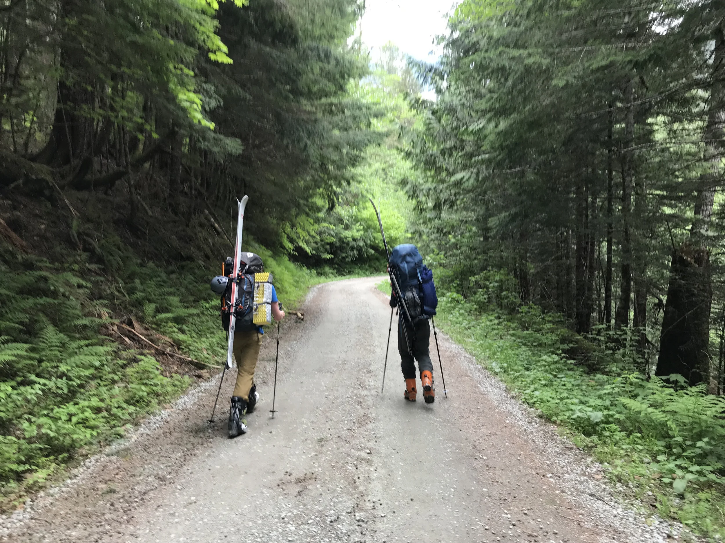 Hiking back out 5km down the logging road with our gear - the green of the temperate rain forest felt like a different world after two days of snow, ice and rock. 