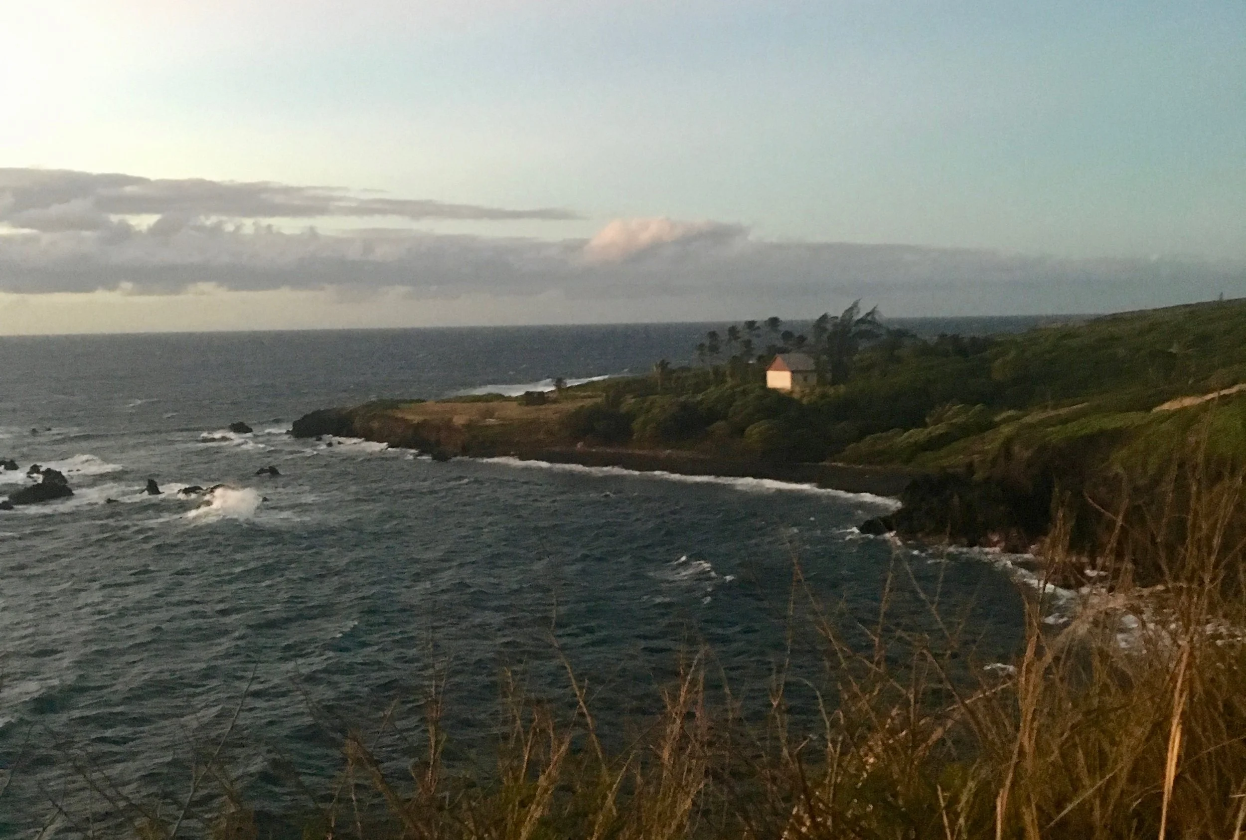 Walking along the road on the way to the trail head - this seemed like such a perfect Hawaiian scene.
