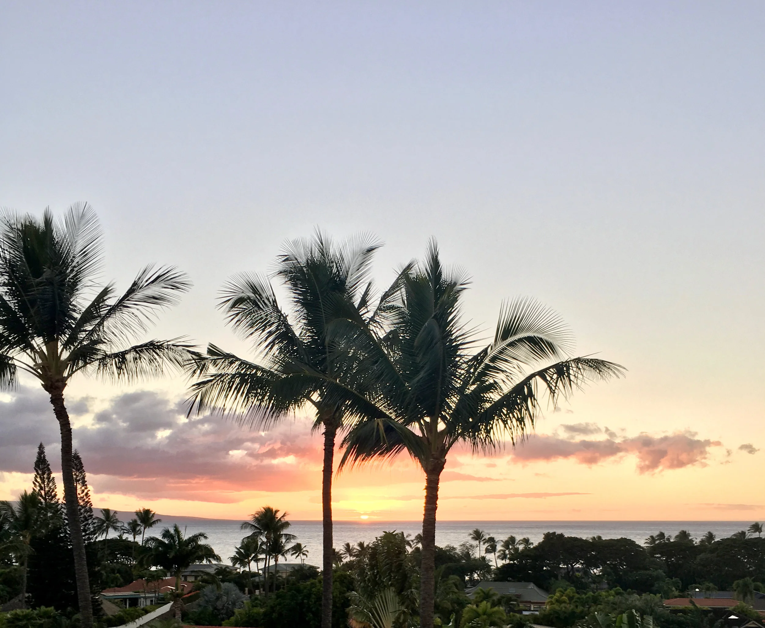 I made it home in time to have a beer and watch the sunset with my dad.