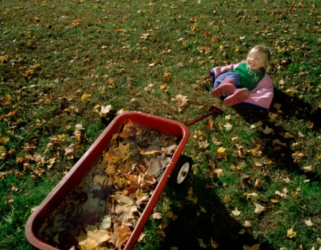 Falling off the wagon and getting back on