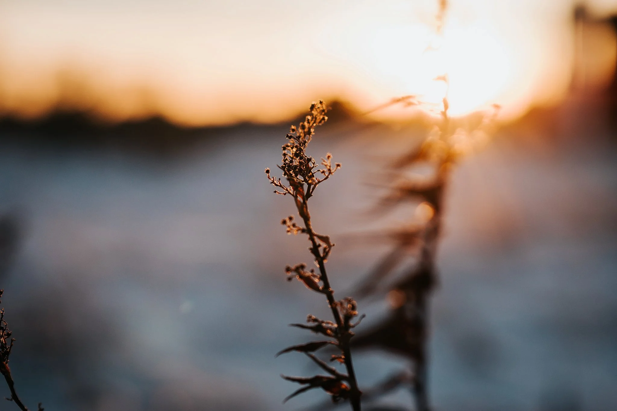 virginiabeachsnow-1.jpg