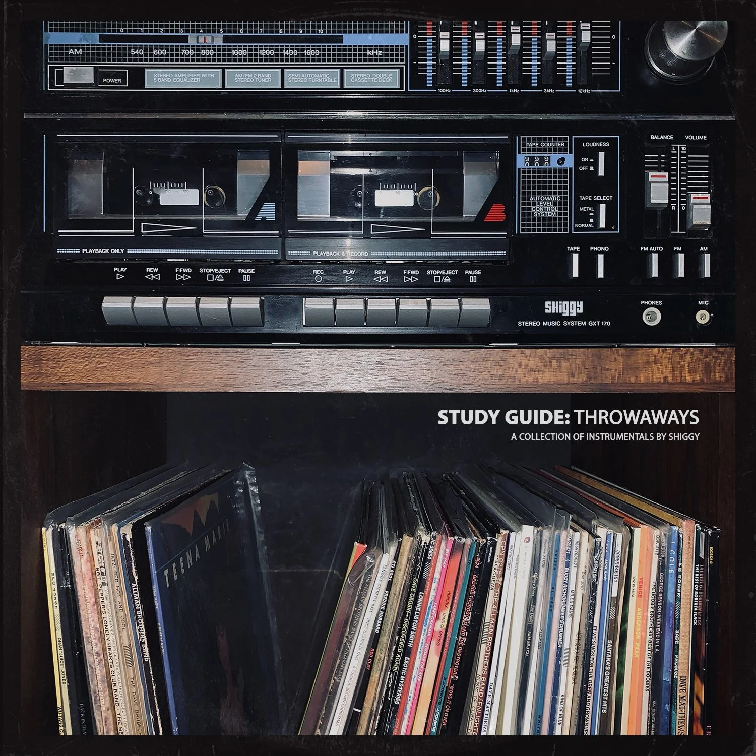Study Guide: Throwaways (Beat Tape) (Copy)