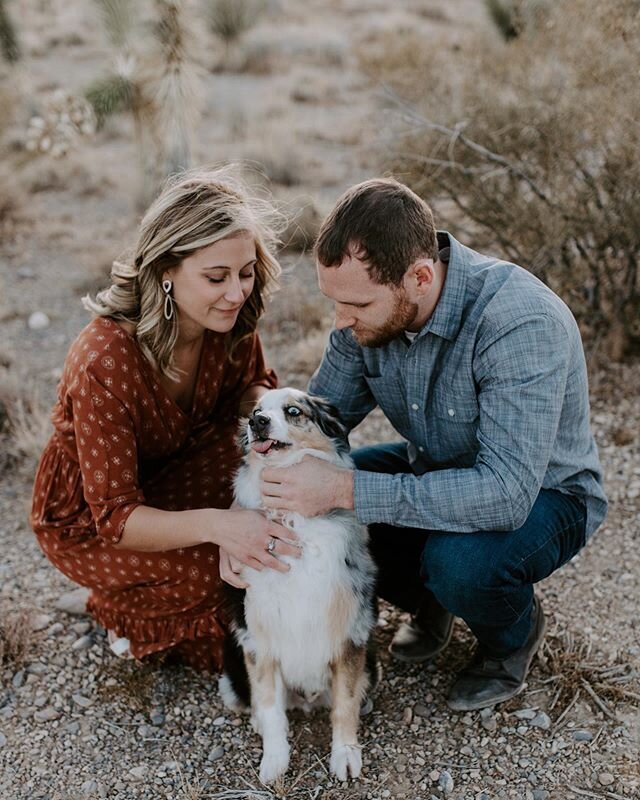 Swipe for good luck 🤪😂 Happy Friday! Please bring your dog(s) to your session. They&rsquo;re part of the family and I get to document their many derpy faces. 🐕