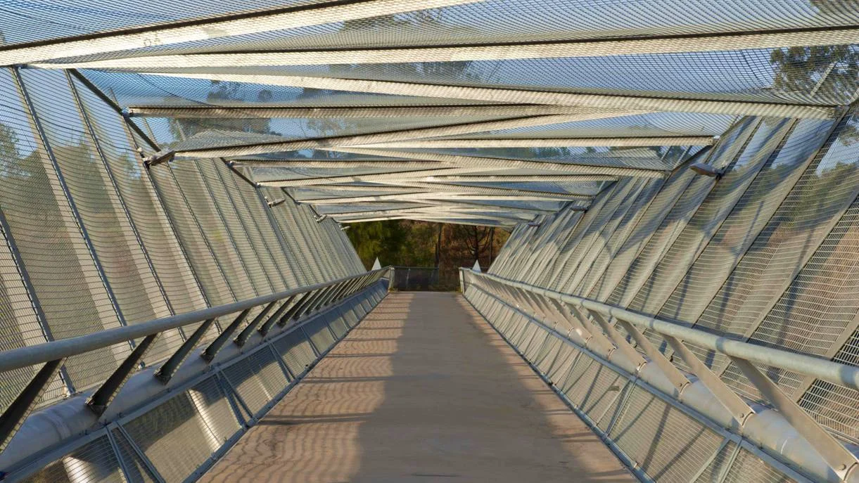 On Cecil Hills Bridge Studio Colpol.jpg