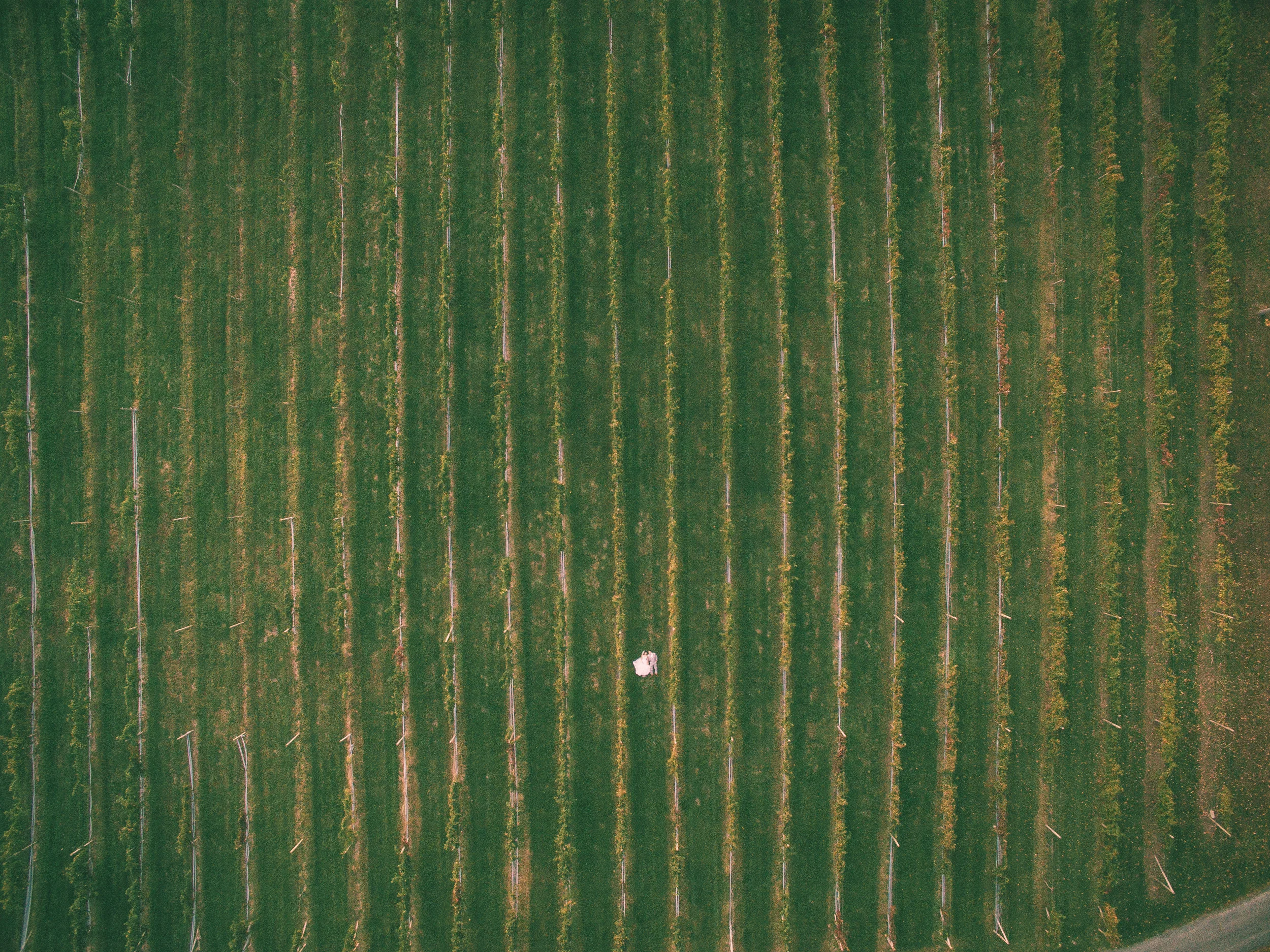 151016-1-dji.jpg
