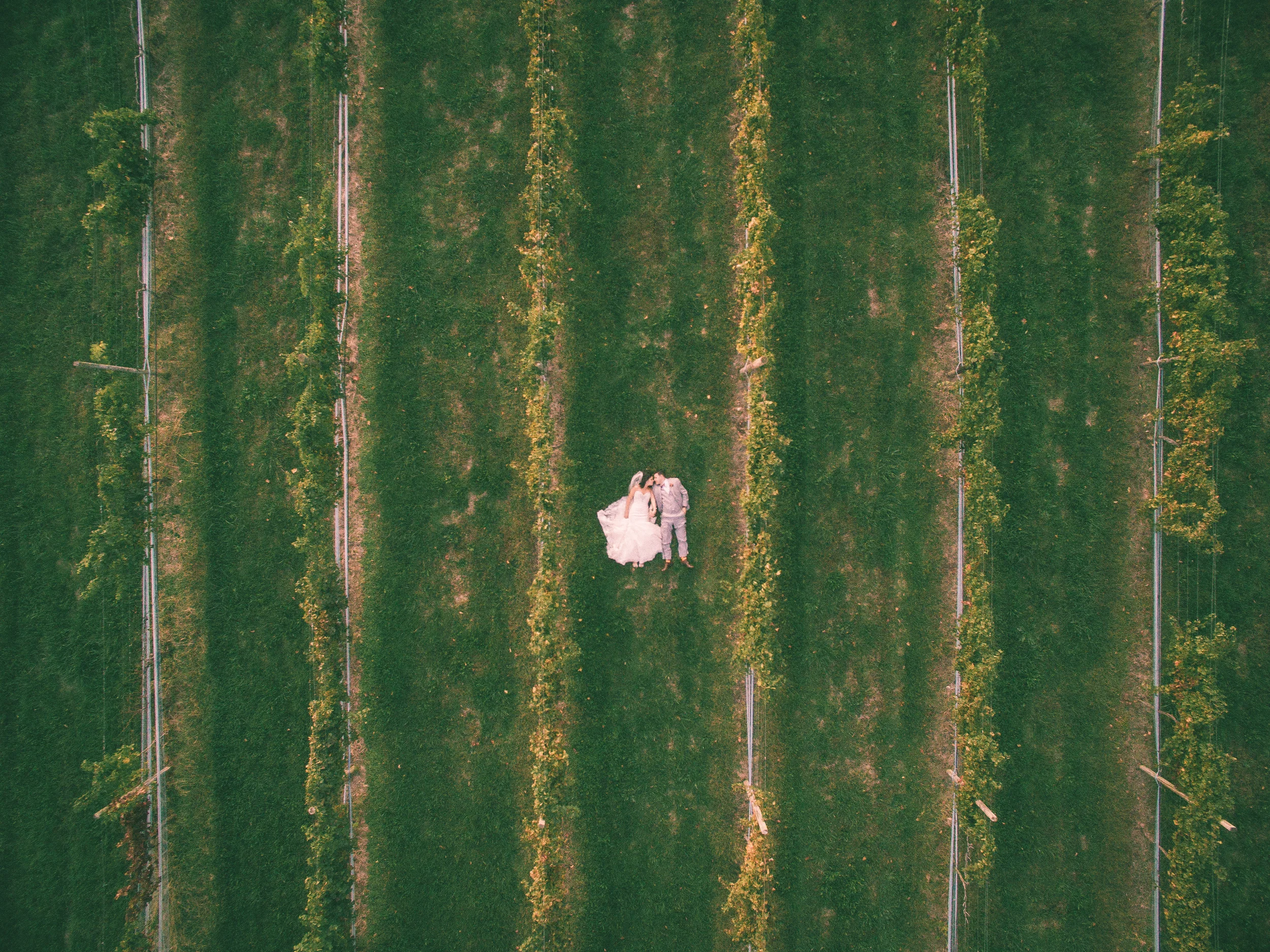 151016-1-dji-2.jpg