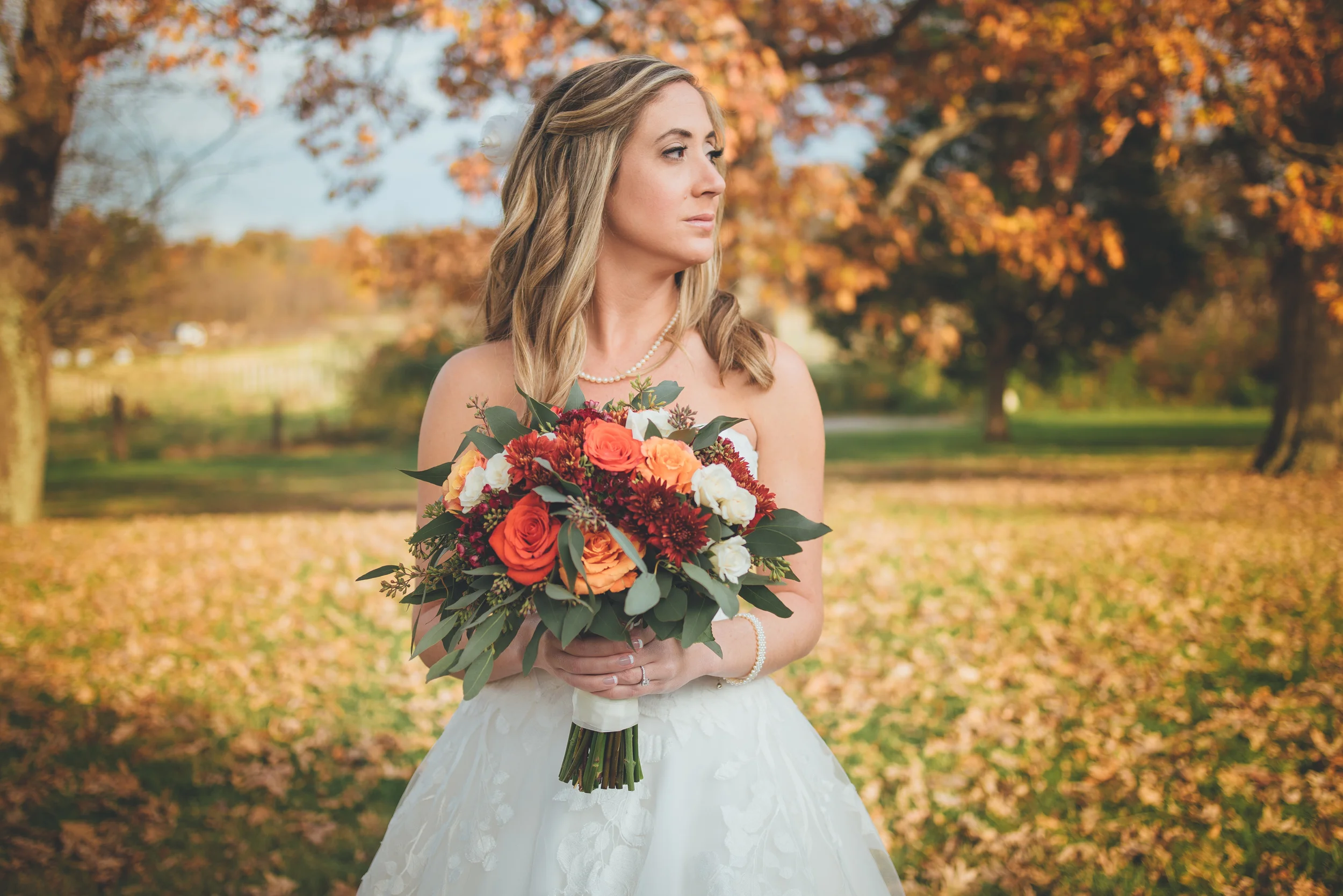 151031-32-web.jpg