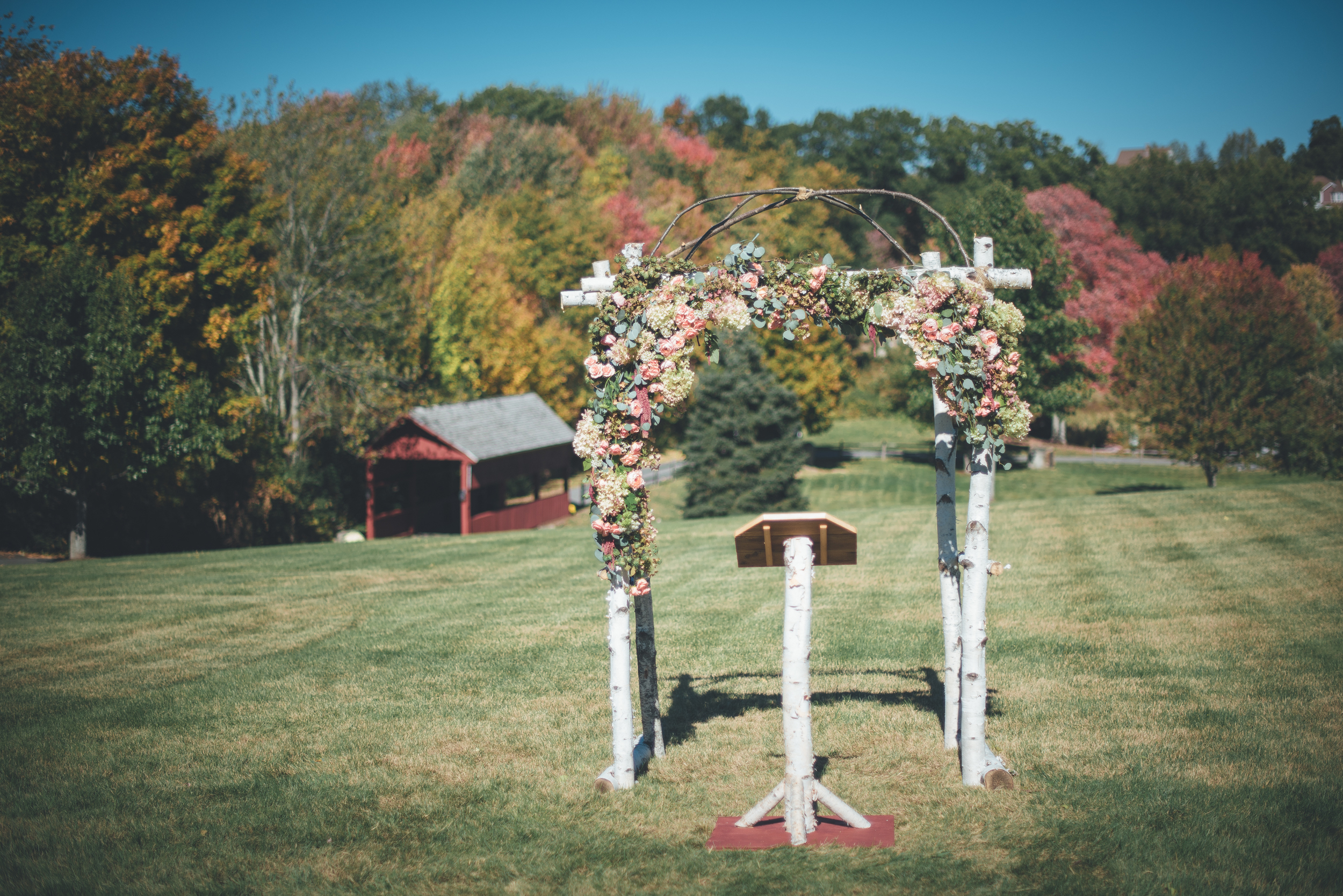 151011-17-web.jpg