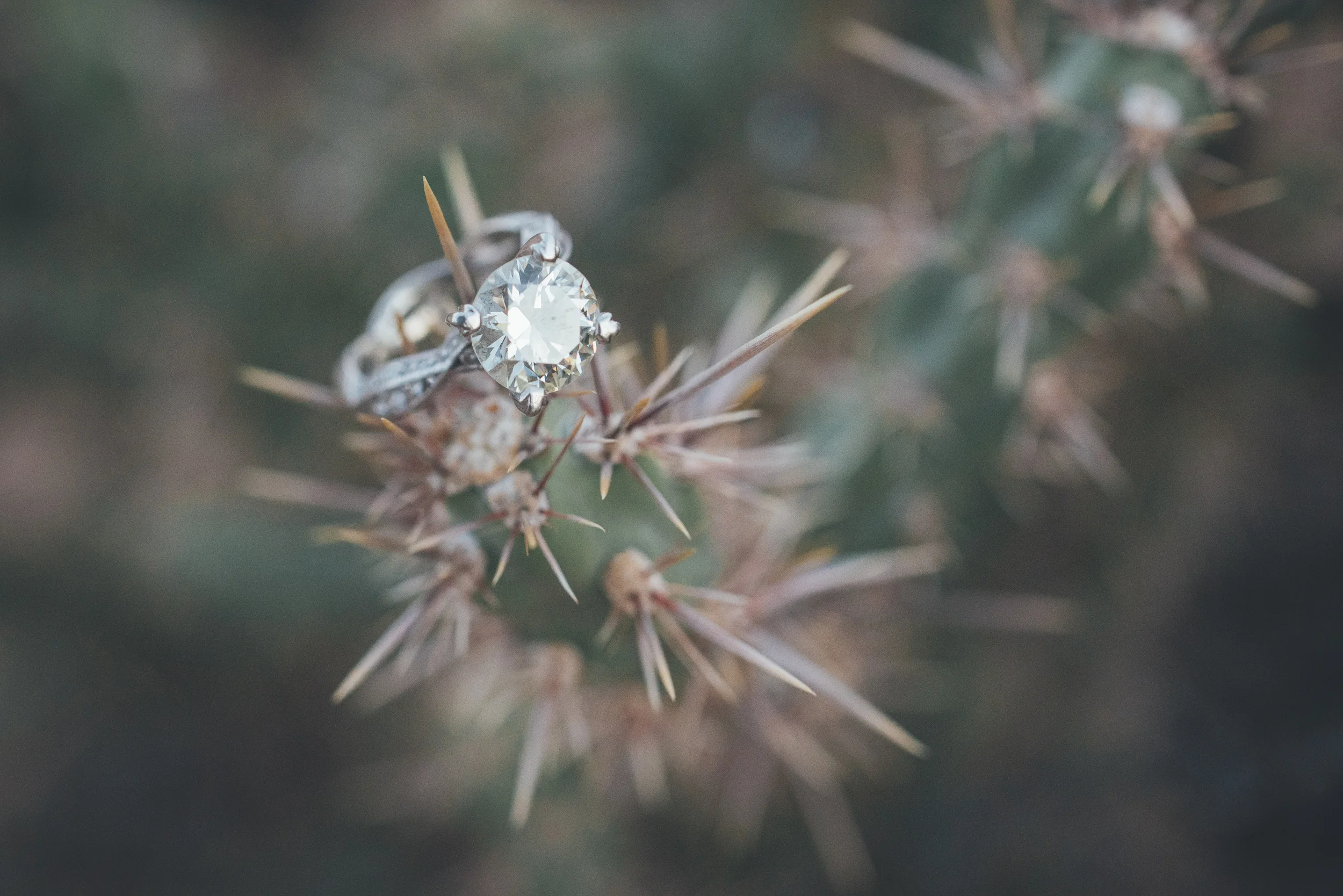 151110-54-w.jpg