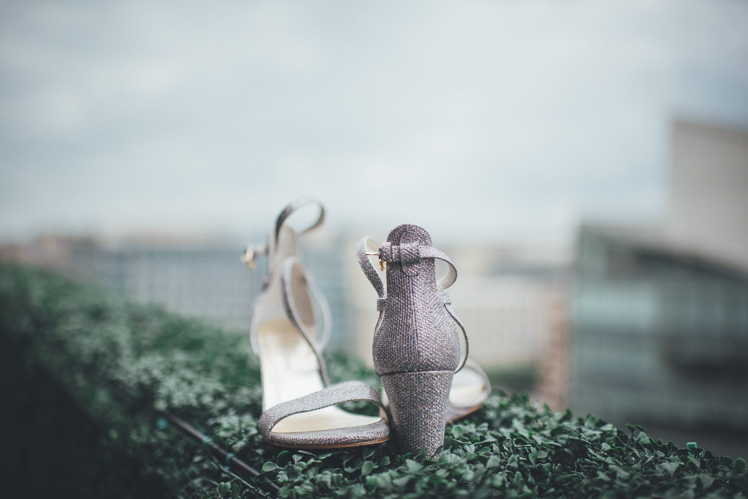 160604-4-website.jpg