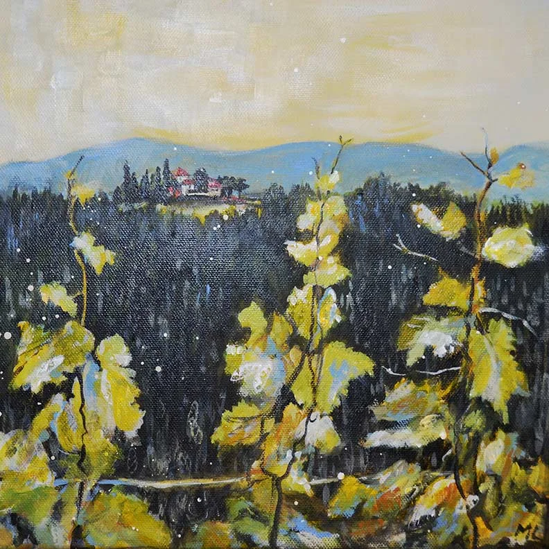 Tranquilty Vineyard