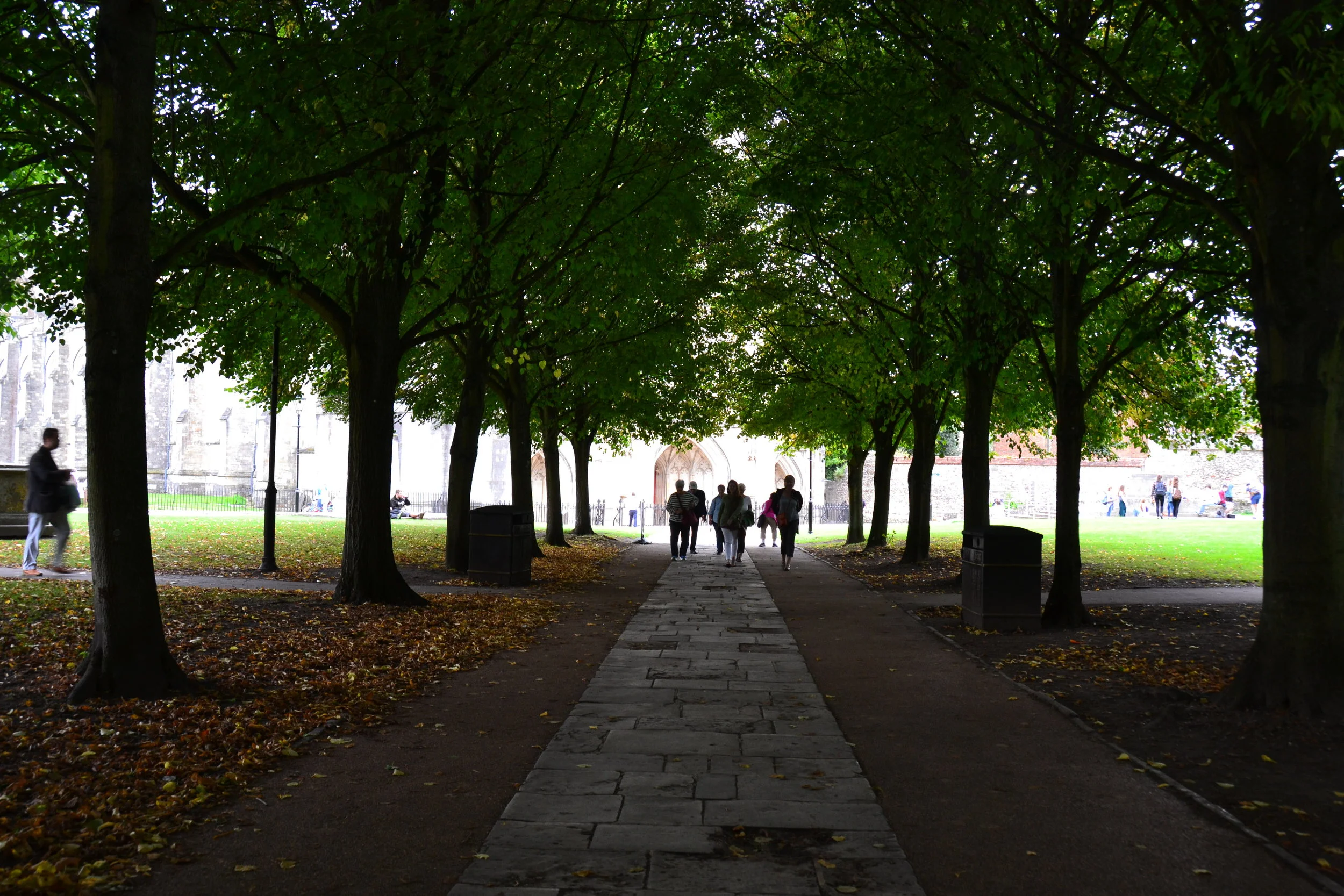 Winchester Cathedral