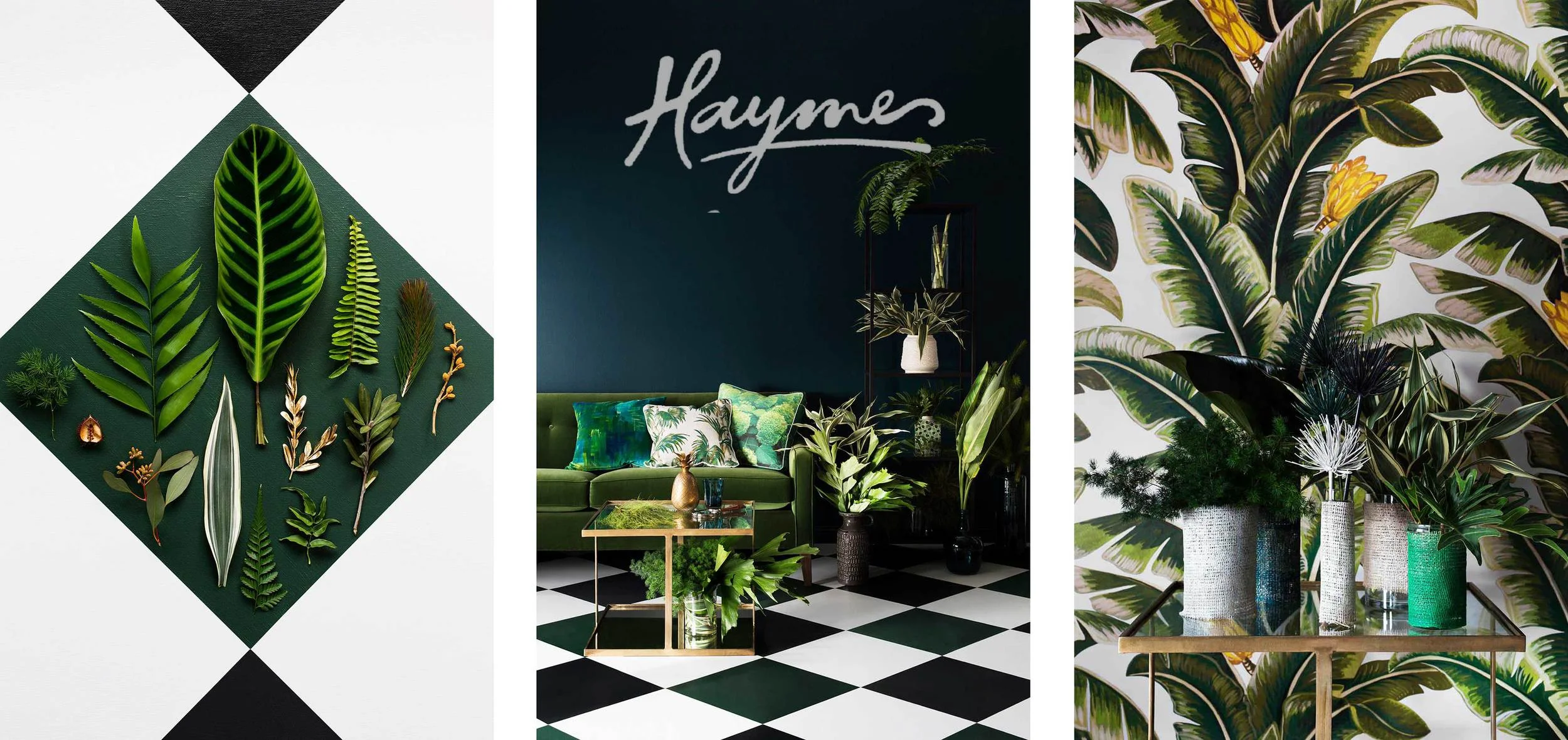 Apps: Haymes iColour