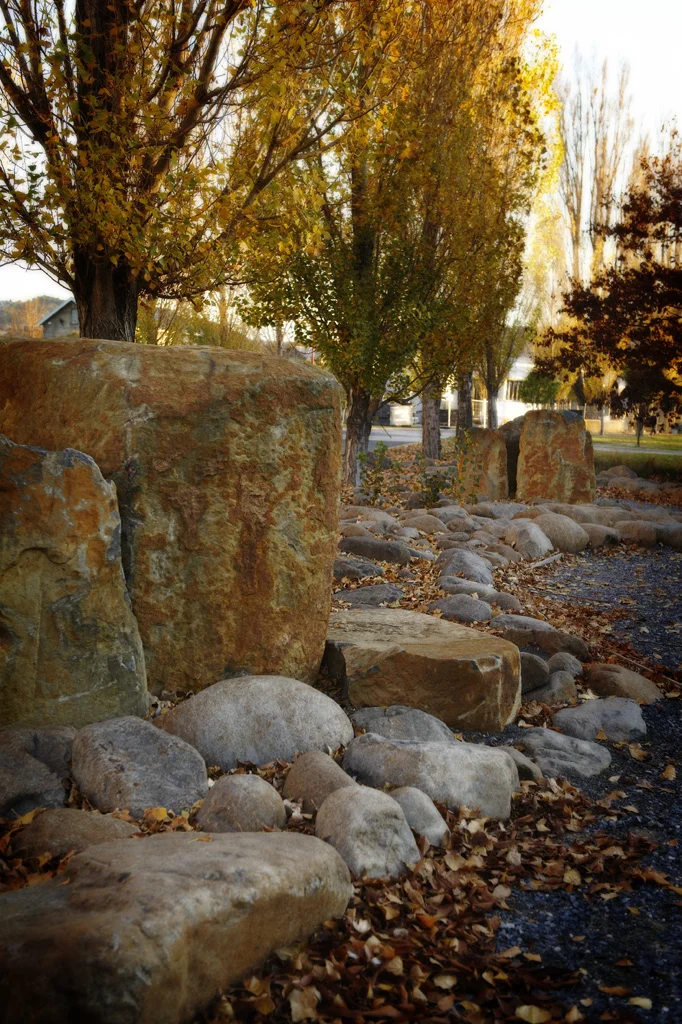 inveresk trees.jpg