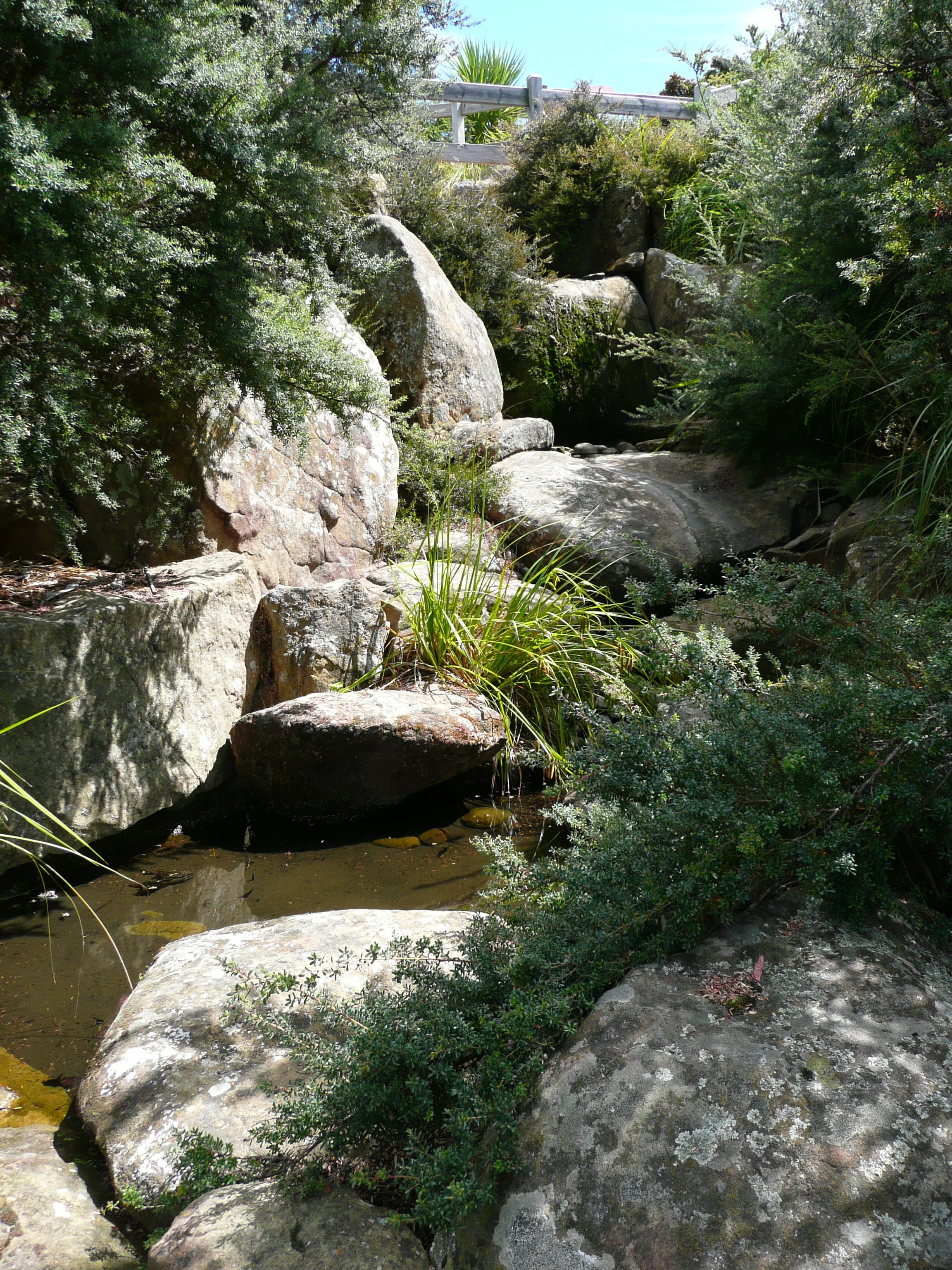 april 08 075.jpg