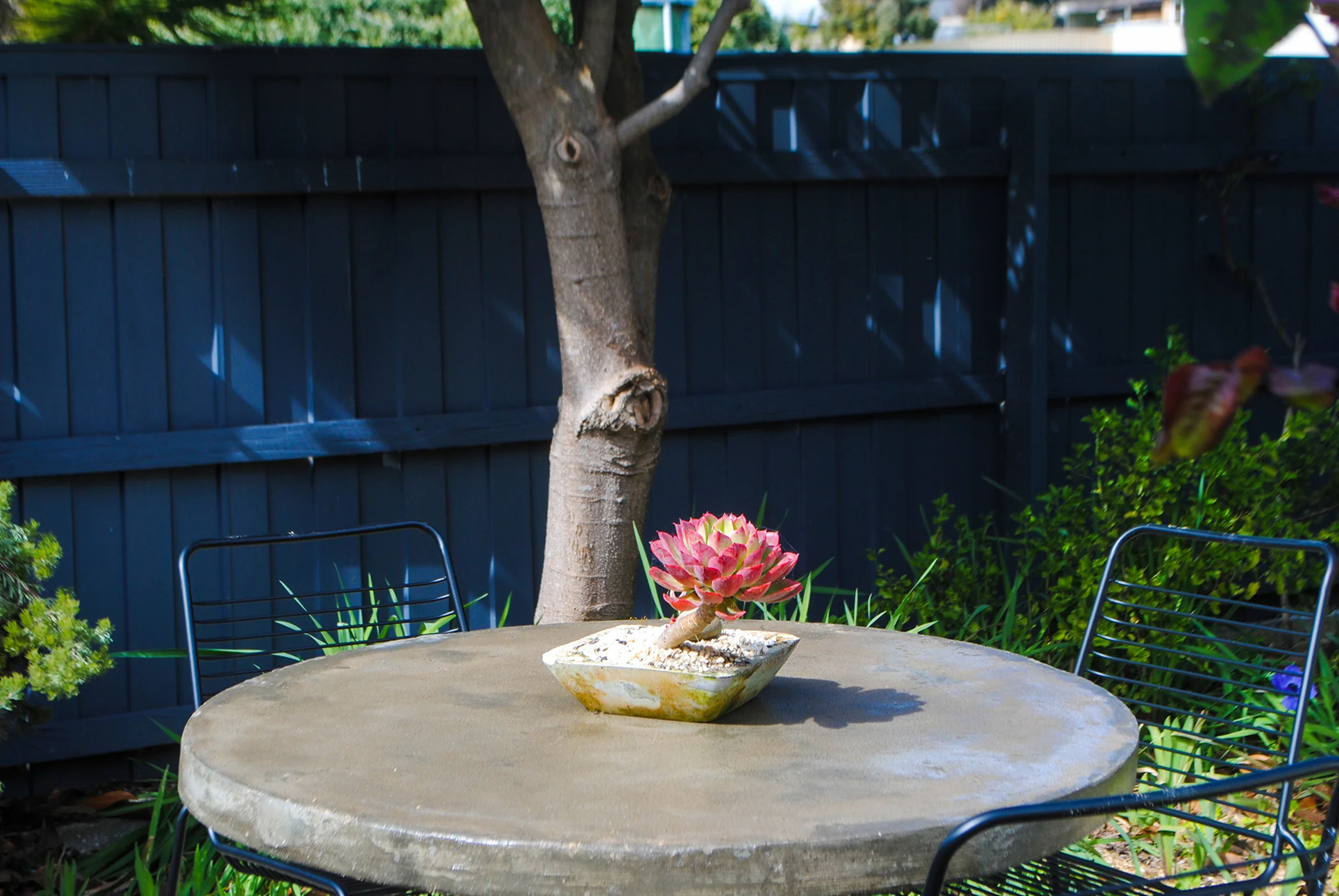 table garden.jpg