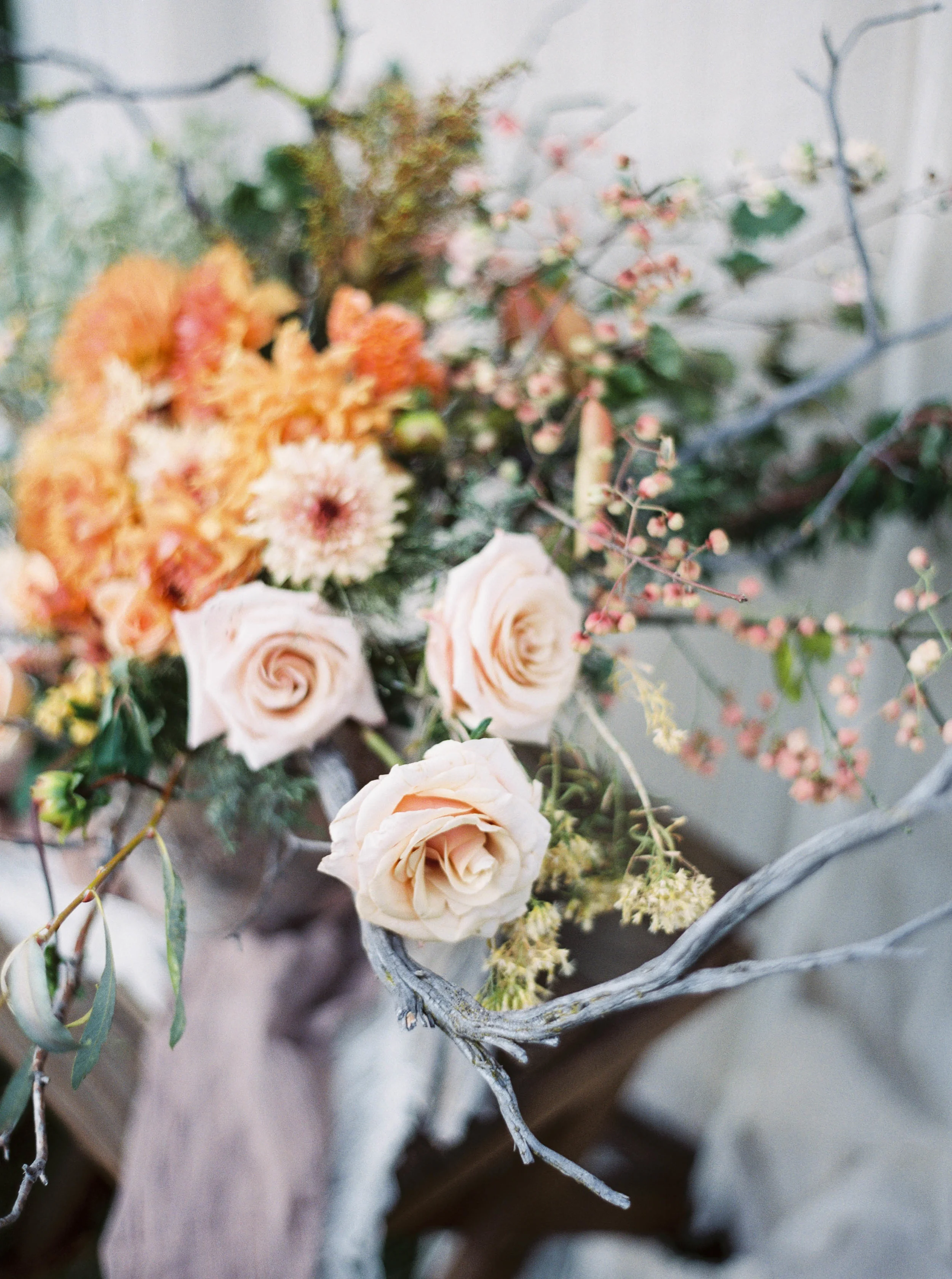 CAPTURED BY ANNE BLODGETT PHOTOGRAPHY
