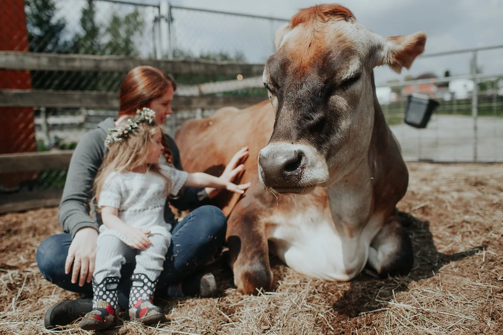 MenzeVisuals-Kayefleur-happyherd-41.jpg