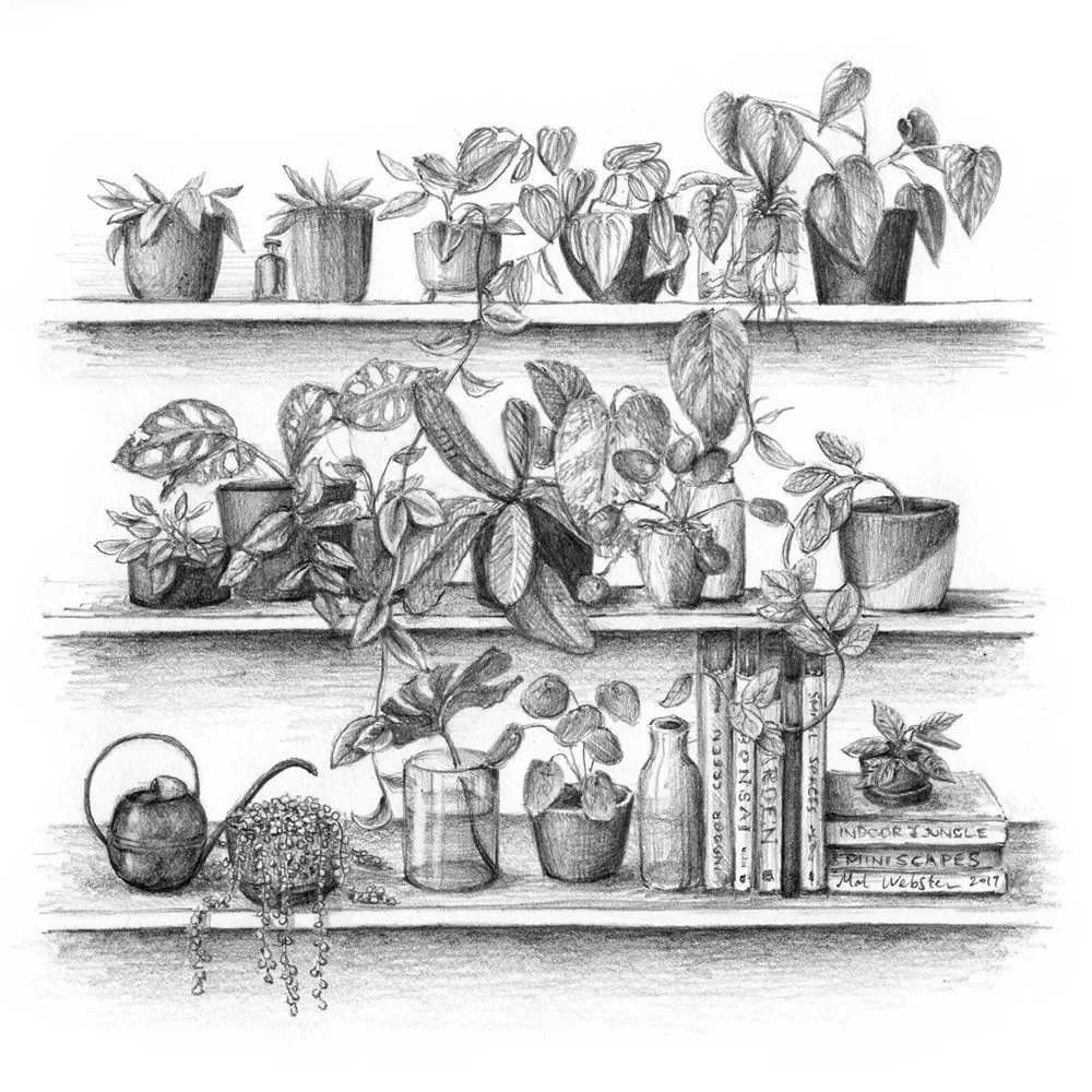 BotanicaPrint.jpg