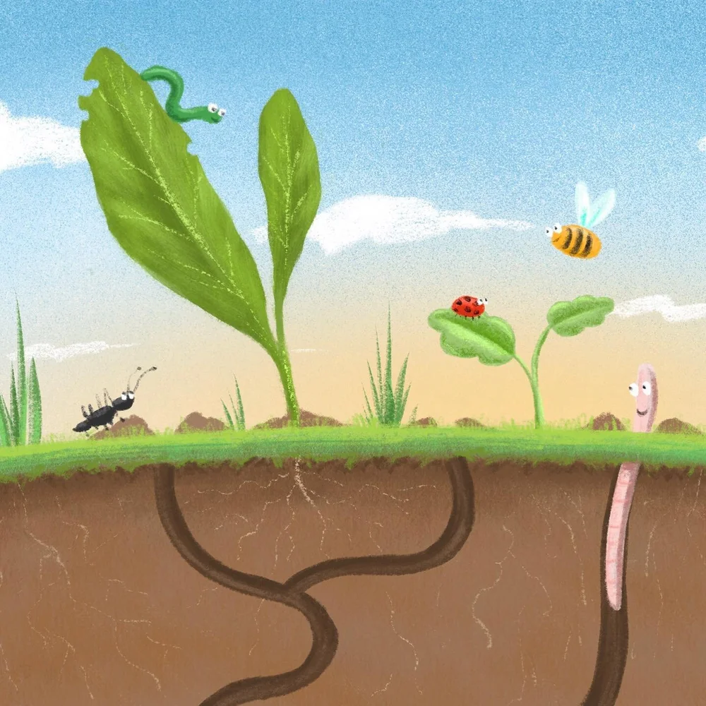 Hey there loyal followers! I just made a mini newsletter, and you can subscribe via the &lsquo;My Newsletter&rsquo; link in my bio. Once a month, expect to see illustrations, design, work in progress and some subscriber exclusives. ✌🏻🗞️📬