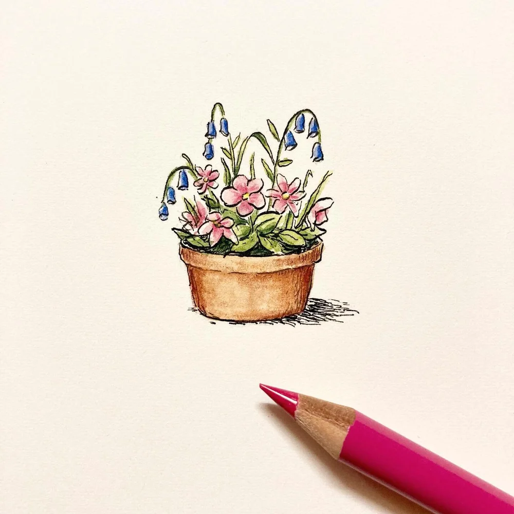 Bluebells and hellebores. 🌸 Sometimes you get lucky with a freelance design job where the client trusts you to simply &lsquo;do your thing&rsquo;. Looking forward to this one.🪴

#inkdrawing #watercolours #plants #pottedplants #inkandeatercolour #pe