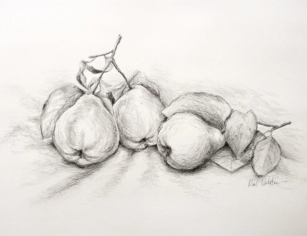 Quinces

Pencil and charcoal on paper

#quinces #stilllife #pencildrawing #charcoal