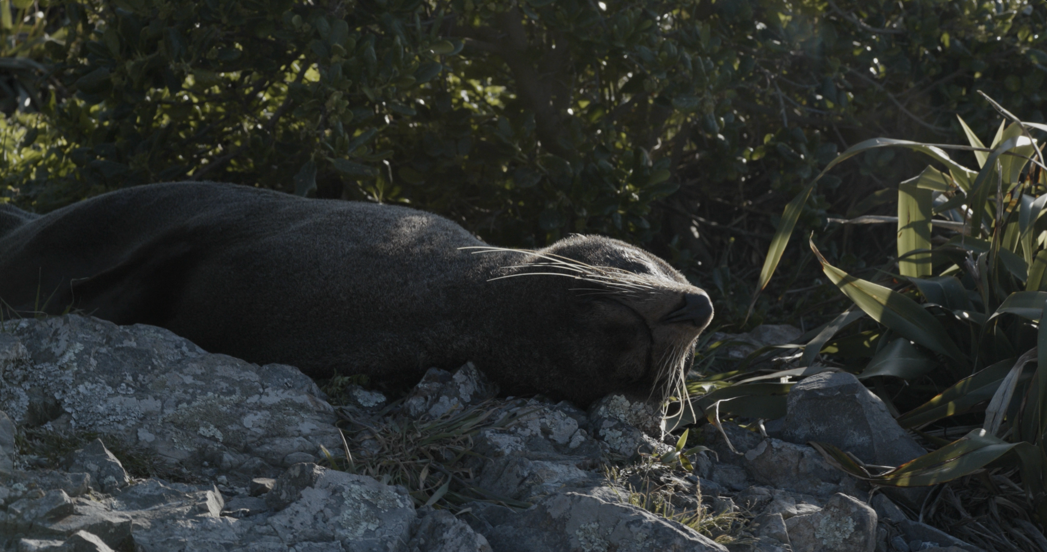 Screenshot 2023-05-12 at 7.49.26 am.png