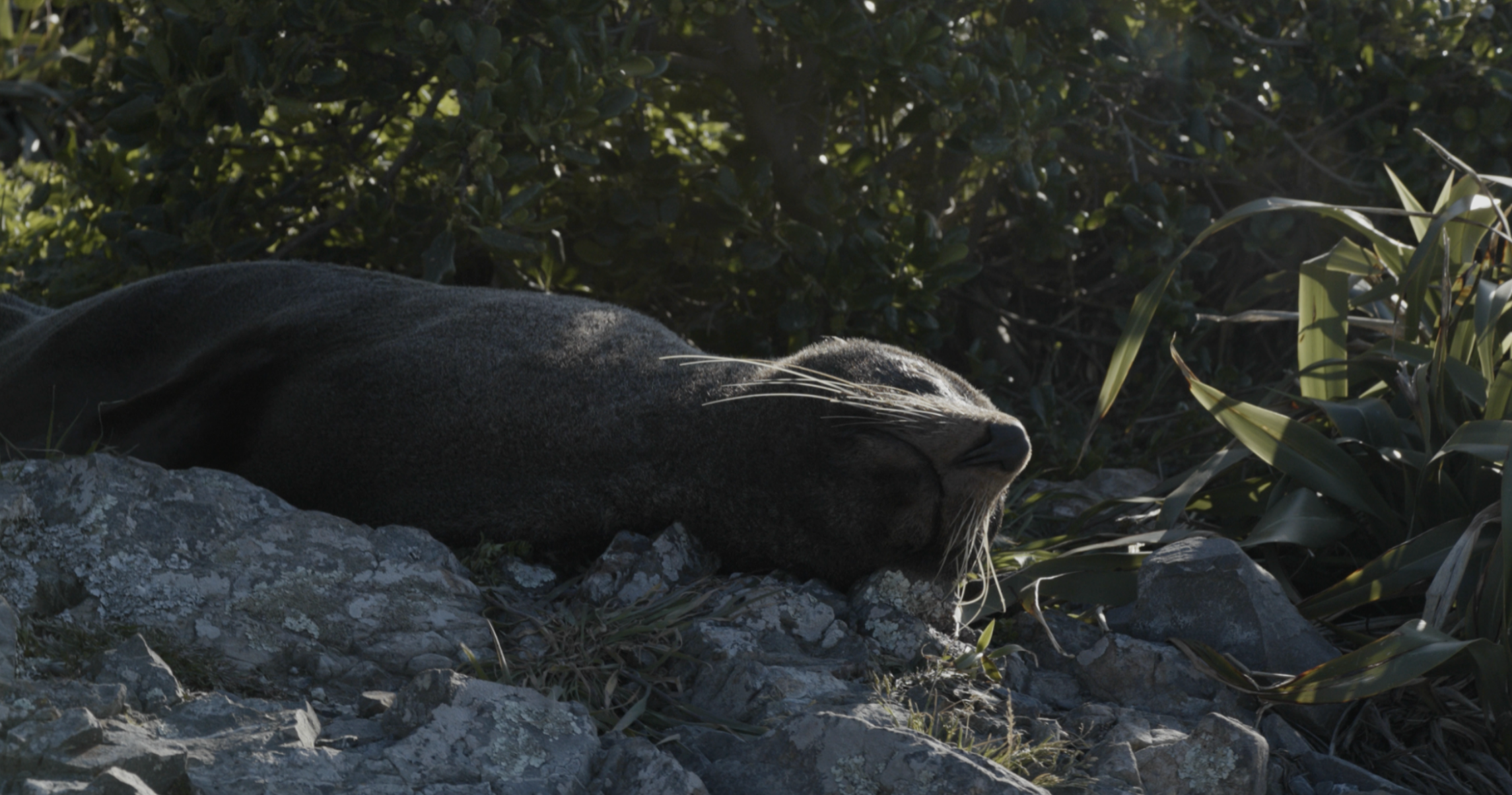 Screenshot 2026-01-21 at 11.24.34.png