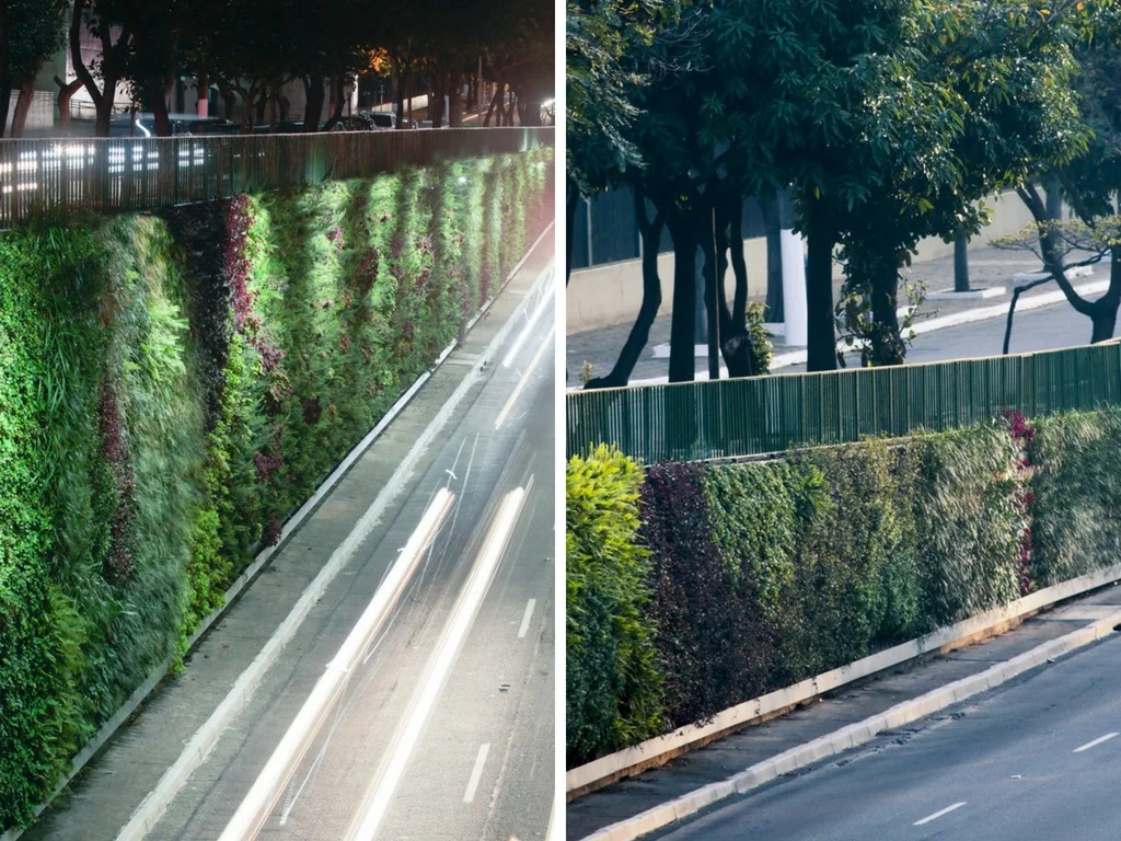 Sao Paulo - A Grey City Going Green