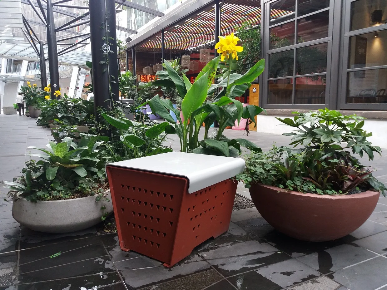 The Grove: Sylvia Park