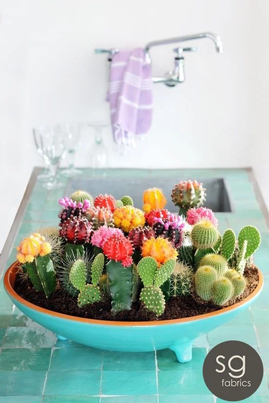 6 ALTERNATIVE SPRING FLOWER IDEAS